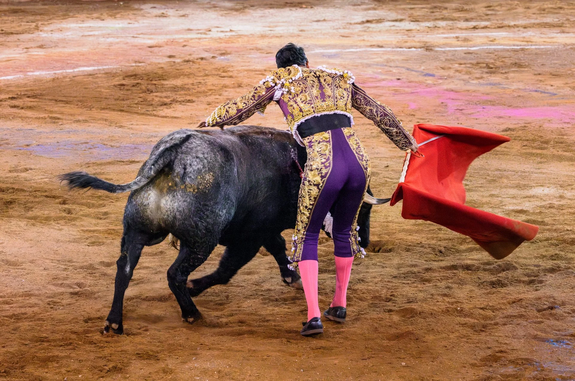 20230929 Plaza de Toros bullfight SMA 169-Enhanced-NR.jpeg