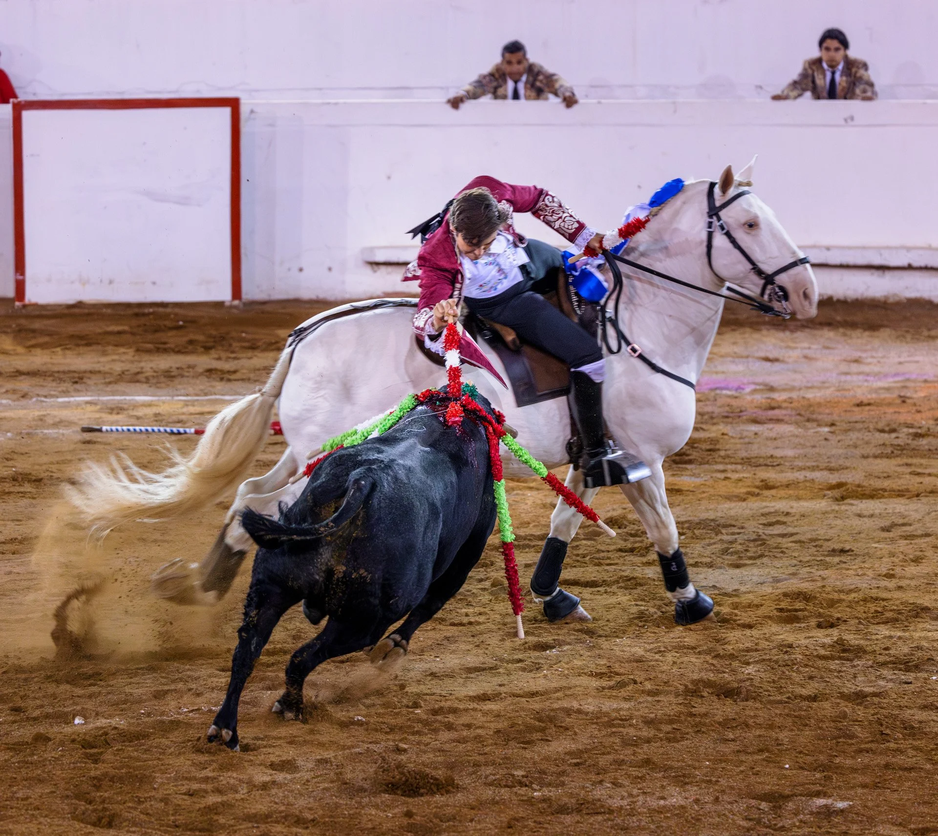 20230929 Plaza de Toros bullfight SMA 122-Enhanced-NR.jpeg