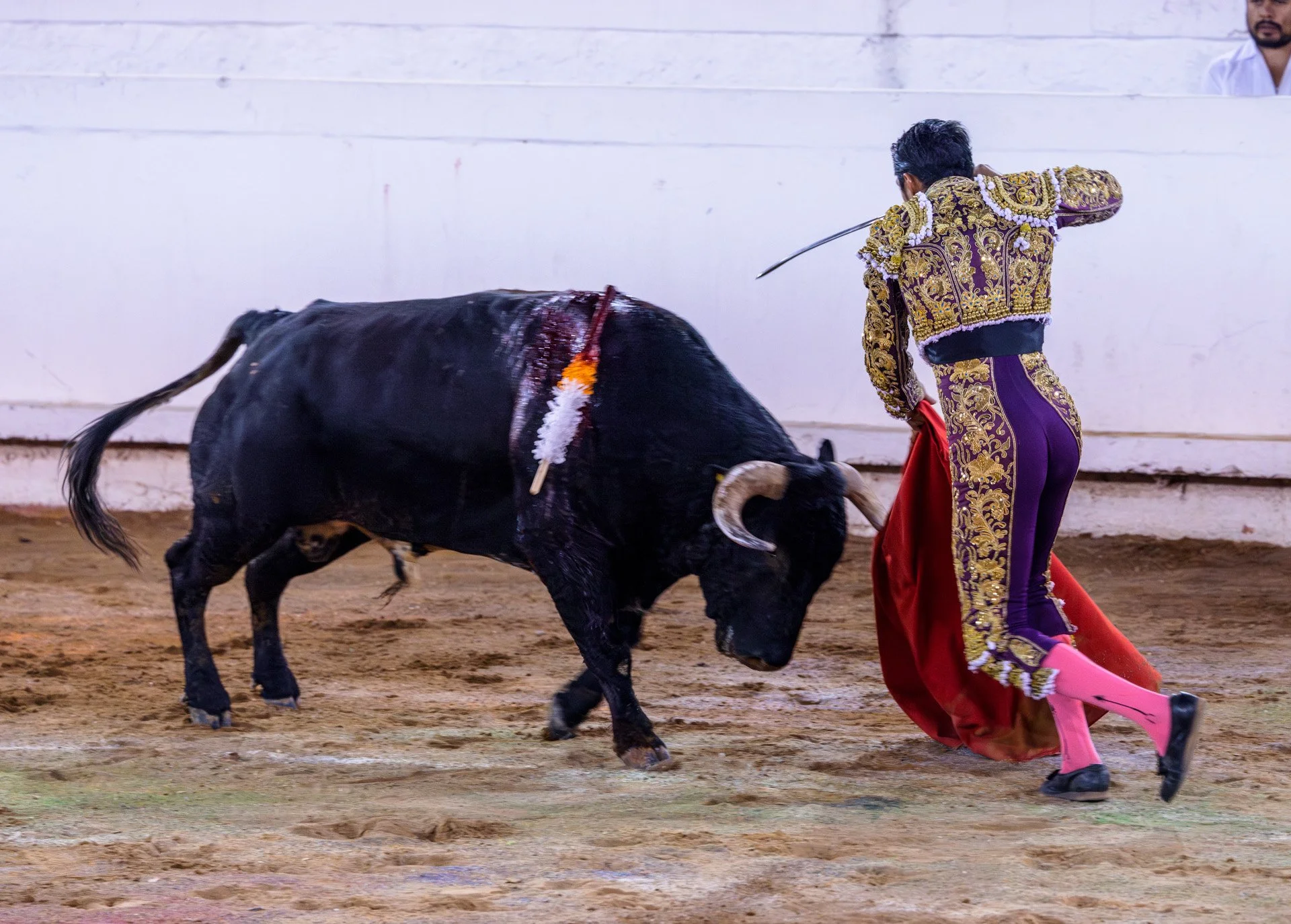 20230929 Plaza de Toros bullfight SMA 070-Enhanced-NR.jpeg