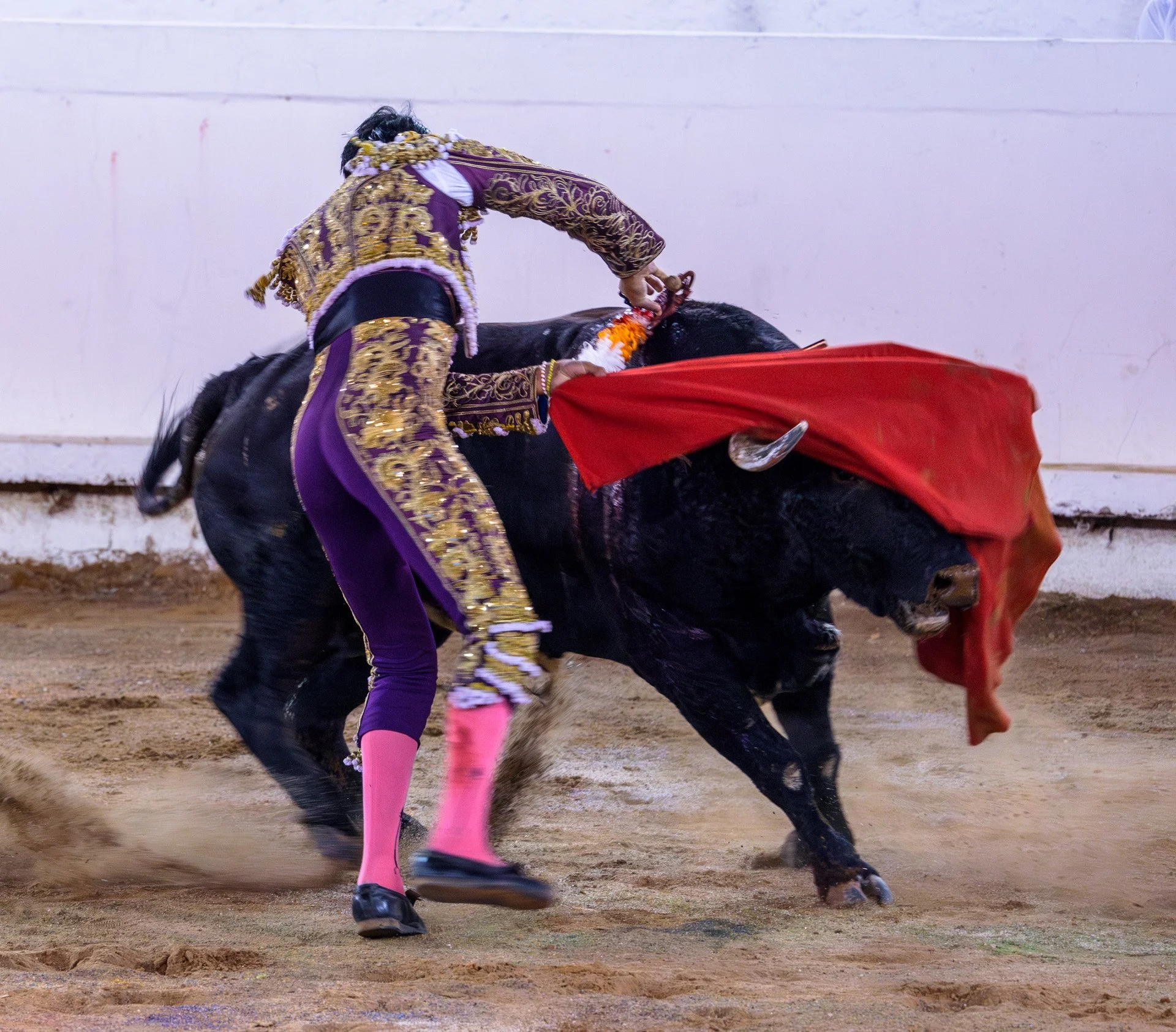 20230929 Plaza de Toros bullfight SMA 068-Enhanced-NR.jpeg