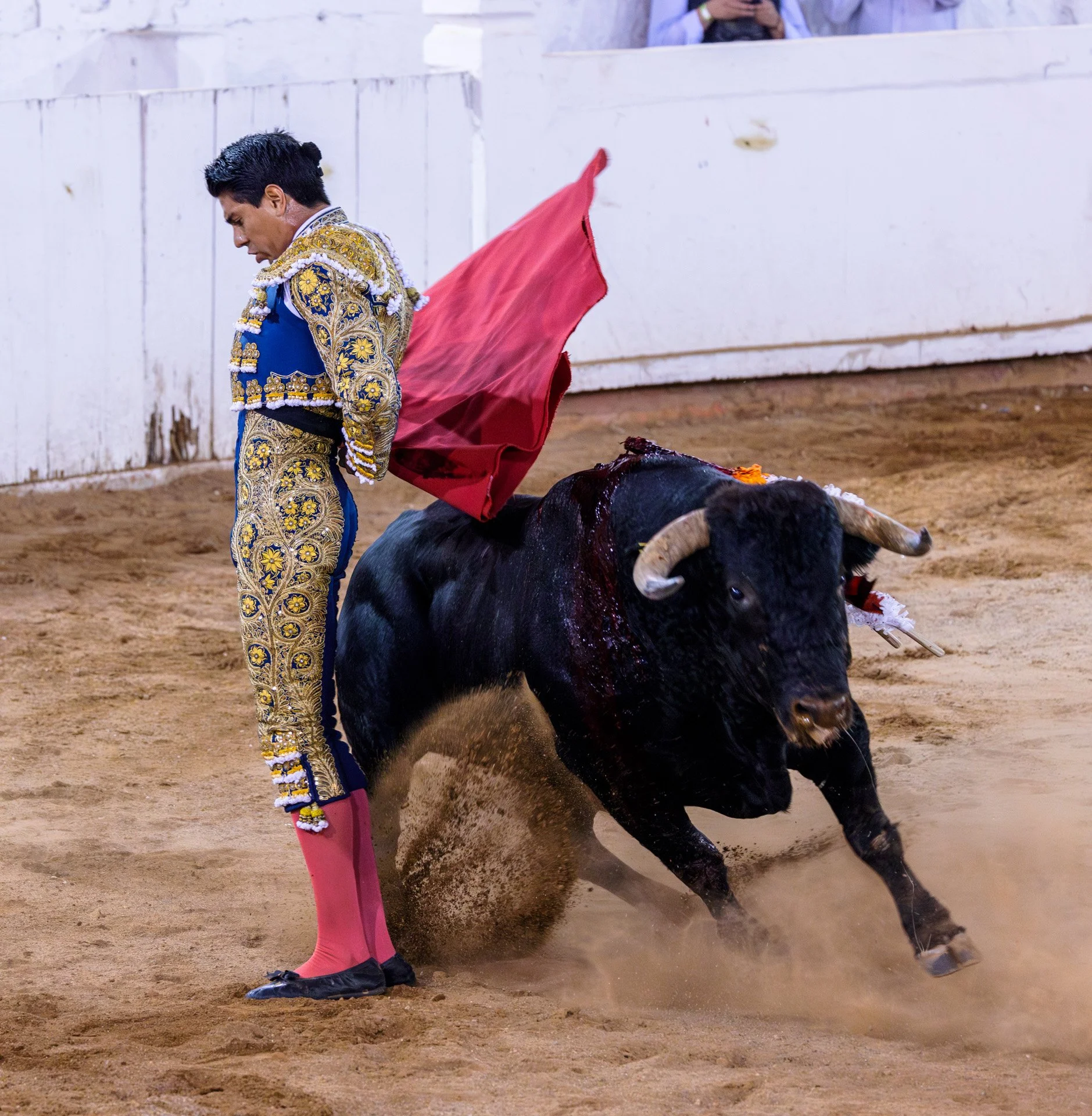 20230929 Plaza de Toros bullfight SMA 015-Enhanced-NR.jpeg