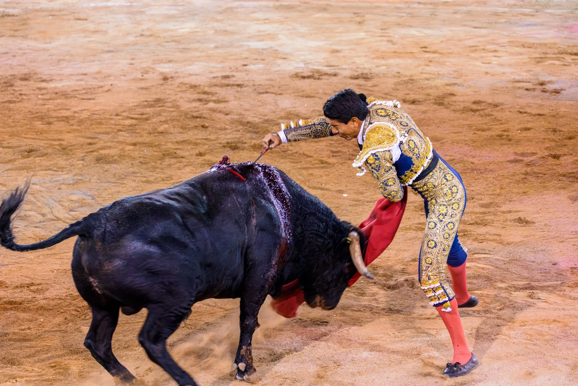 20230929 Plaza de Toros bullfight SMA 007-Enhanced-NR.jpeg