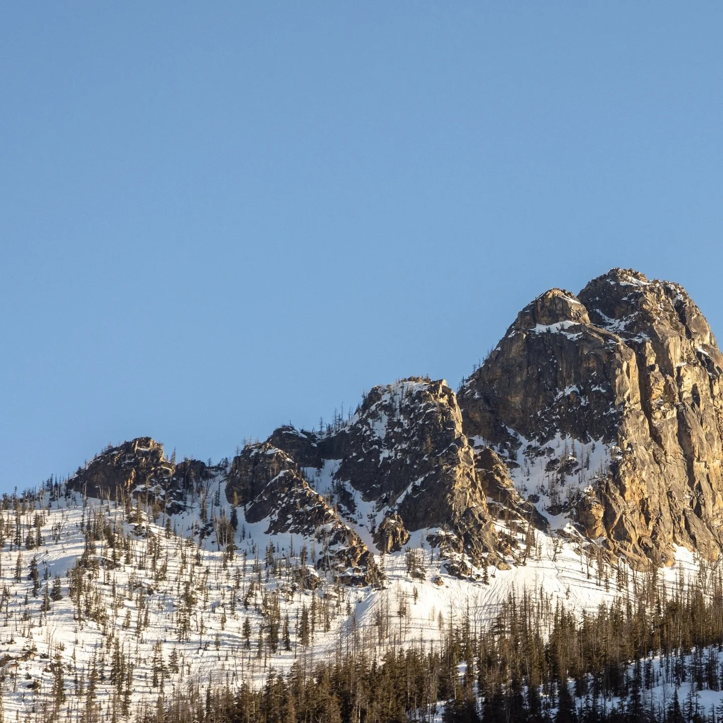 These views brought to you by several miles of road skinning. 

#northcascades #cutthroatlake #mountains #alpinelakes