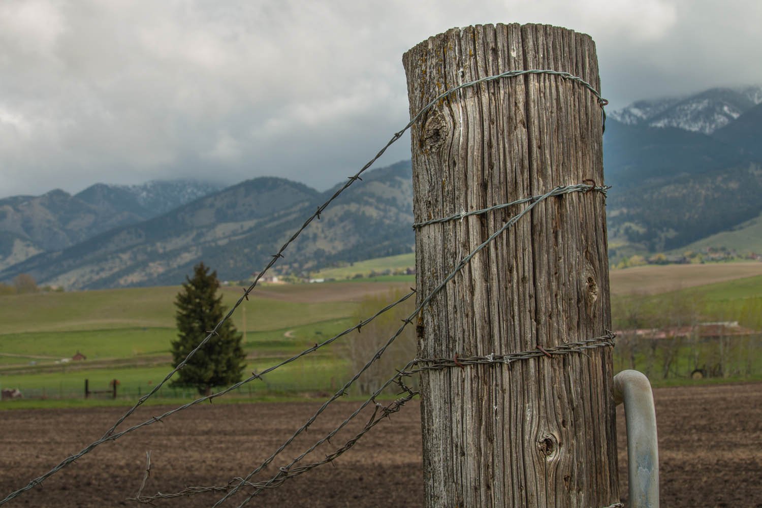 Montana_Barbed_Wire.jpg