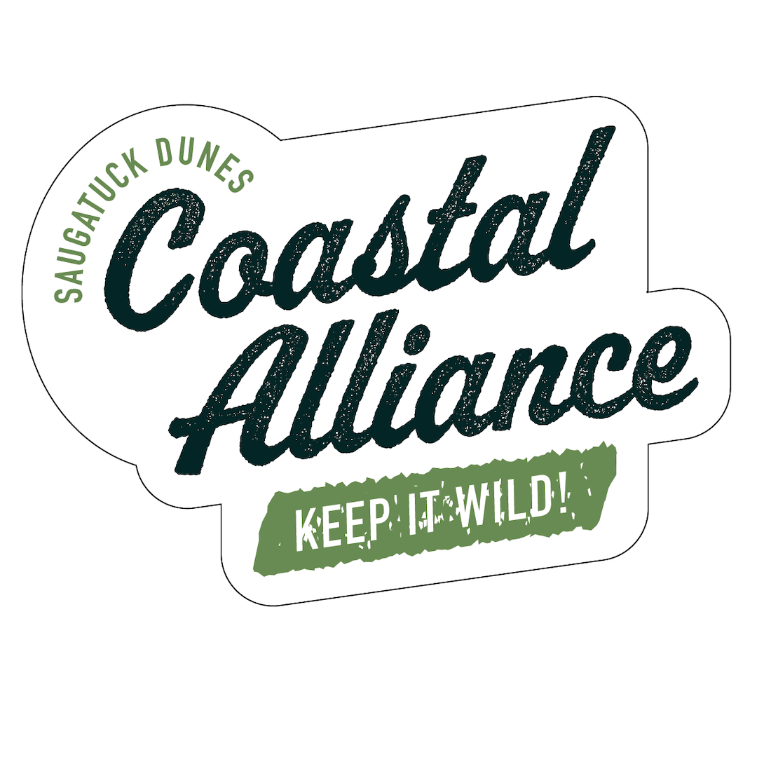 Keep It Wild Logo Sticker