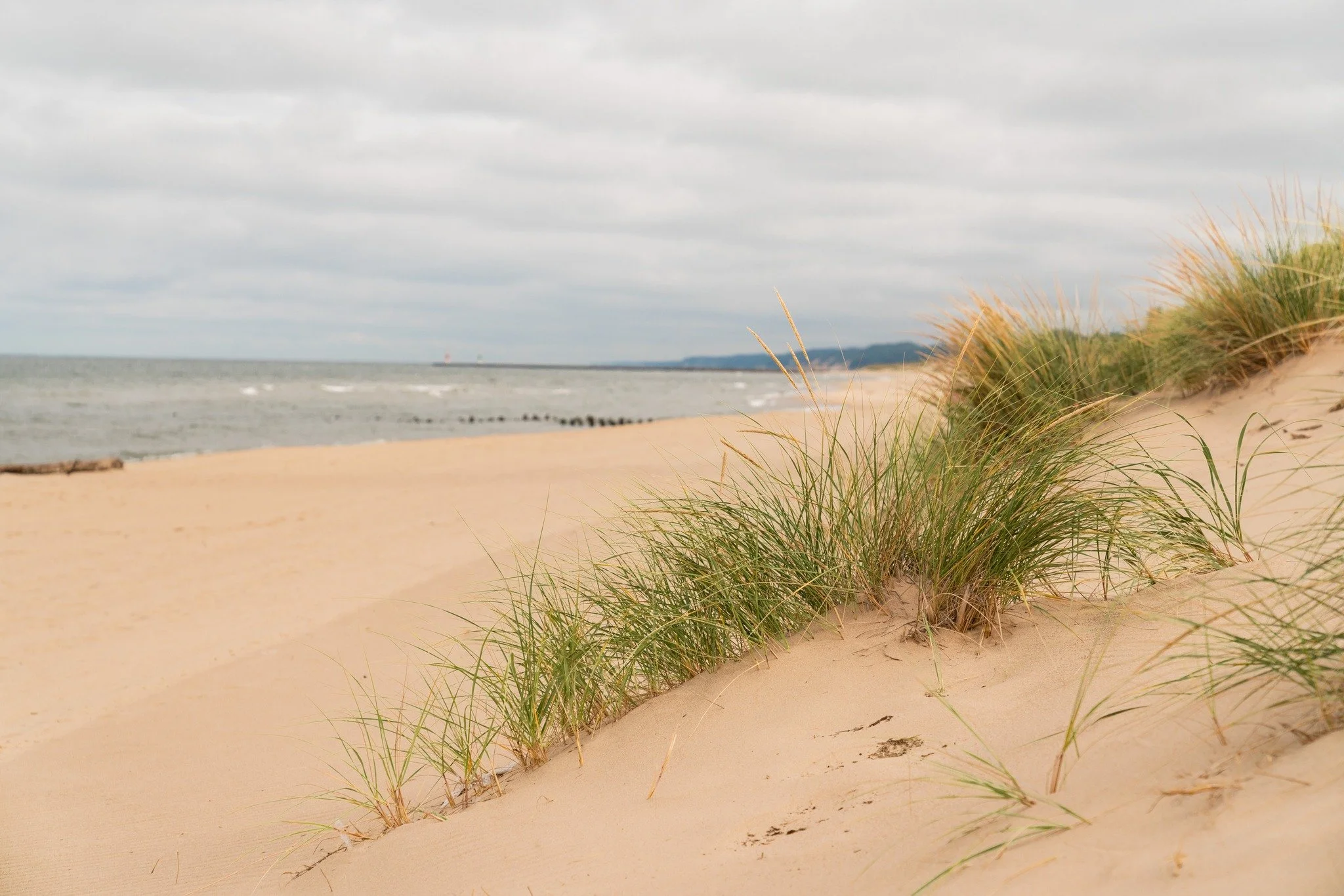 Some places ask something of us. They ask for patience. For care. For thoughtful decisions about what should be protected and what should be passed forward. The Saugatuck Dunes and Kalamazoo River Mouth are one of those places. And stewardship is how