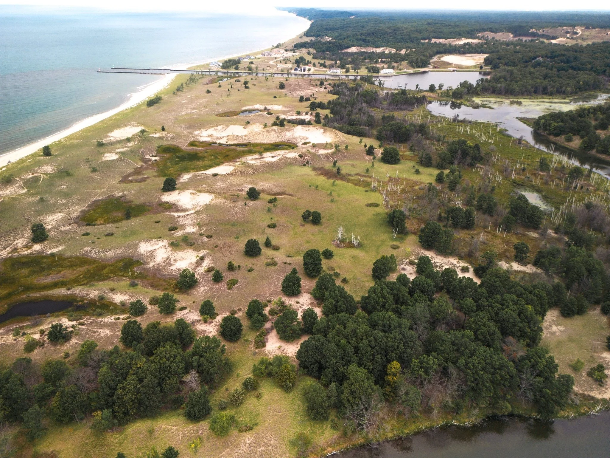 Sometimes stewardship means restoration. Replanting native species. Improving water quality. Protecting wetlands. Supporting healthier ecosystems for the future. Care for the natural world is not only about preventing harm. It is also about helping l