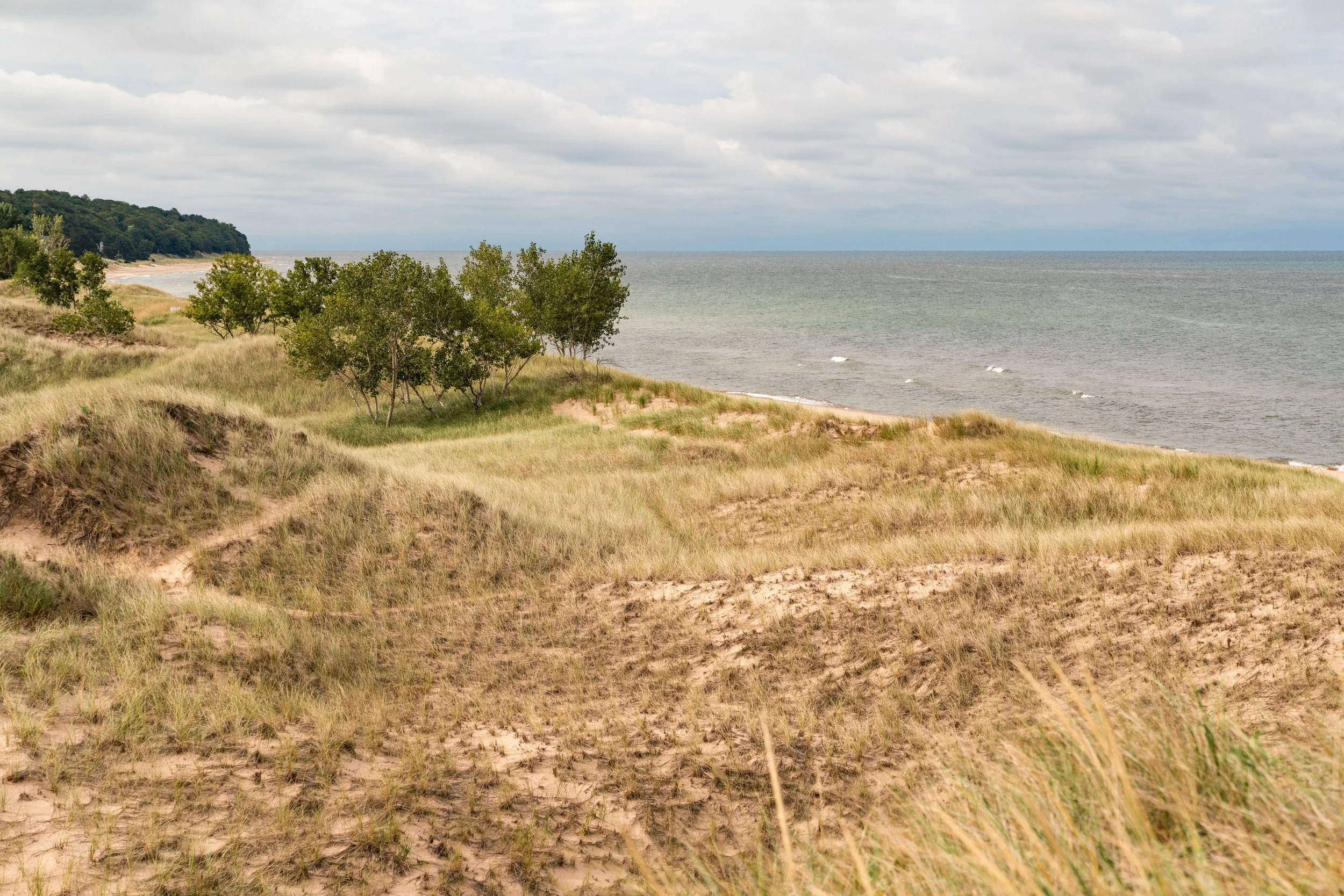 Important Update