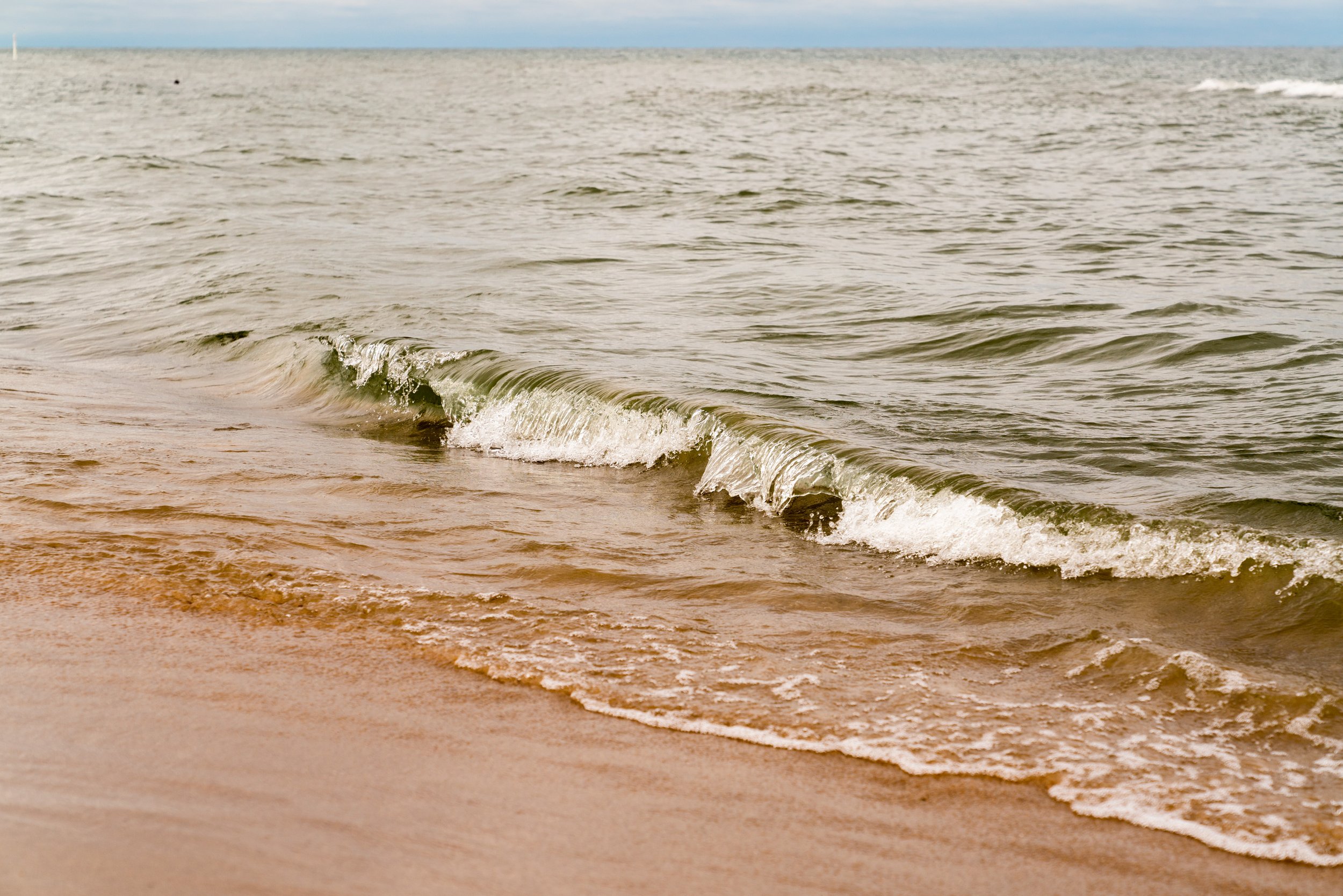Open Letter To Saugatuck Township Board of Supervisors,&nbsp;Planning Commissioners, and Township Residents