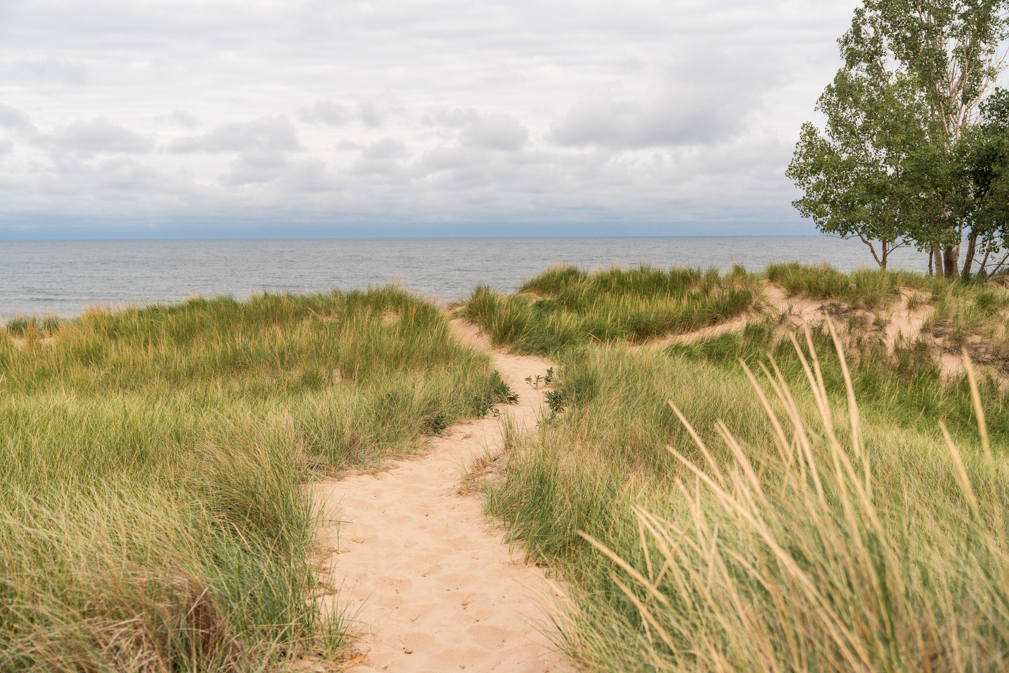 As another summer unfolds along the lakeshore, we remain grateful for everyone who continues to show up for this place.

For the people who speak up.
The people who restore.
The people who pay attention.
The people who believe wild places still matte