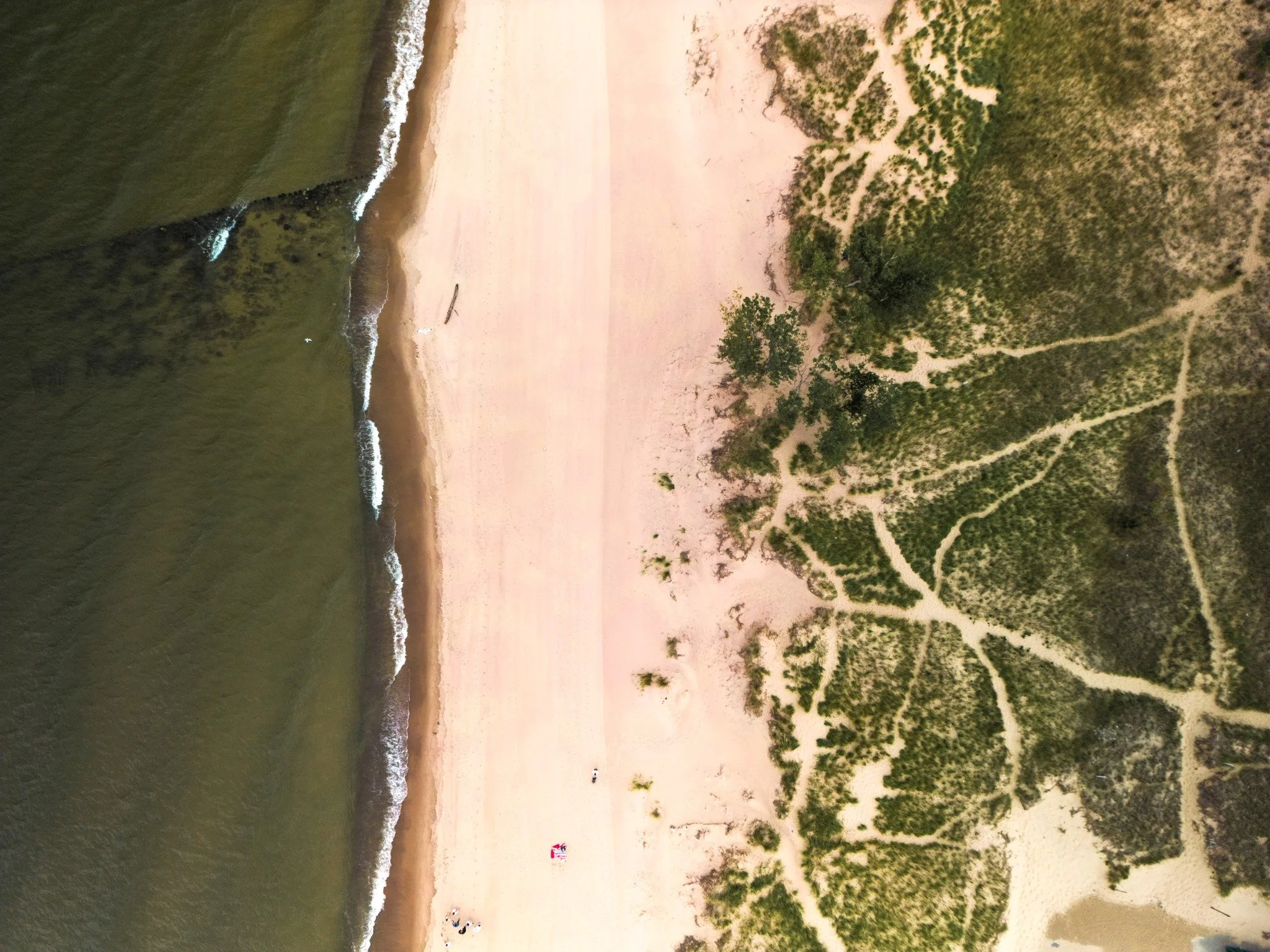 Stewardship starts with noticing.

Noticing where water flows after a storm. Noticing erosion along a shoreline. Noticing wildlife returning to a wetland. Noticing when something changes.

The first act of stewardship is attention.

The Wild Heart of
