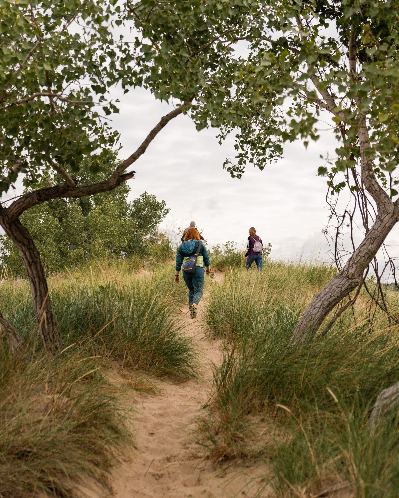 What does stewardship mean?

It means caring for something that doesn't belong only to us. The Kalamazoo River Mouth is held in trust. We enjoy its beauty today because others protected it before us. Stewardship means accepting our responsibility to 