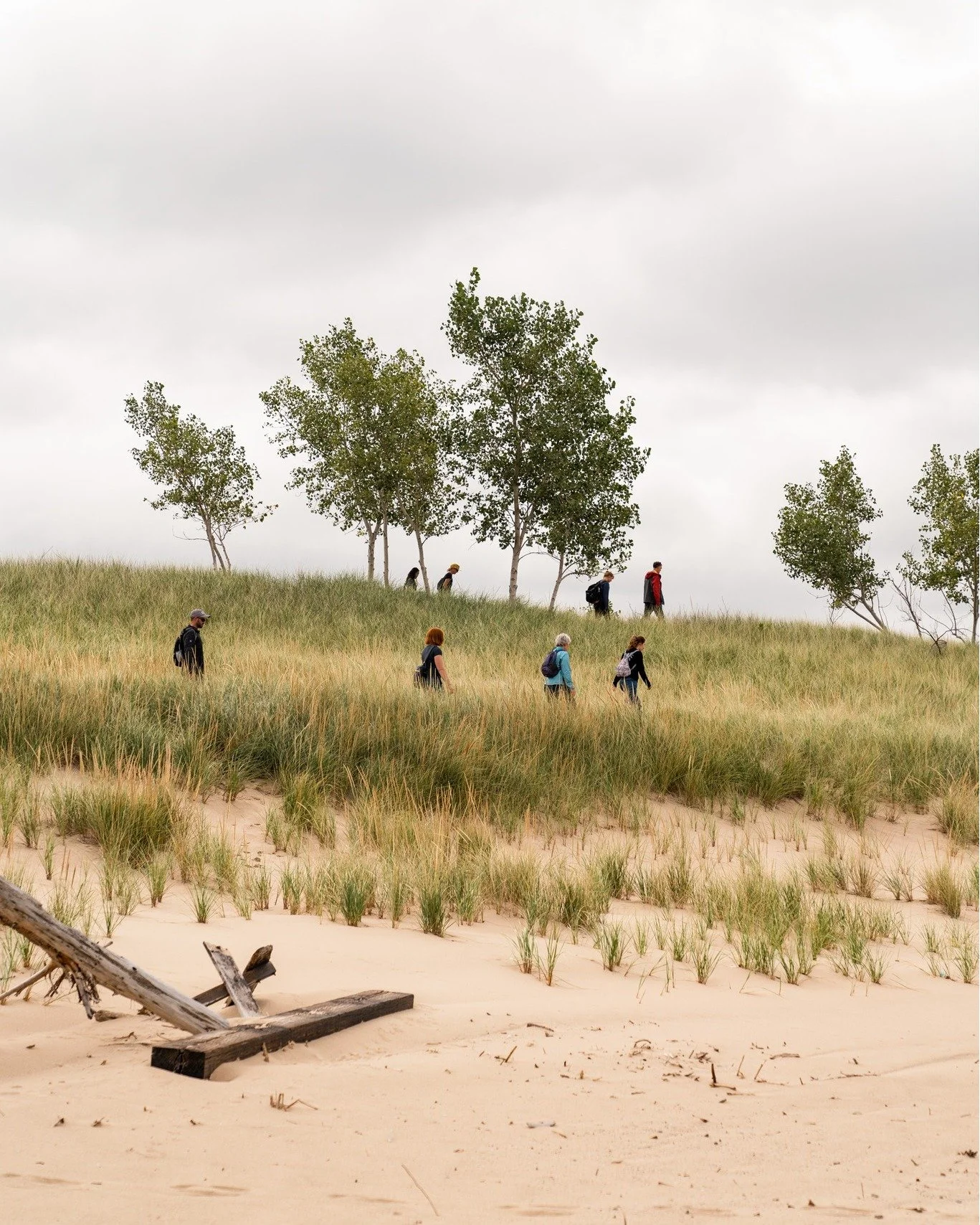 Summer brings people back.

Back to the river. Back to the dunes. Back to the shoreline.

As visitors return to the Wild Heart of Saugatuck, stewardship becomes even more important. Staying on trails, respecting habitat, reducing waste, and protectin