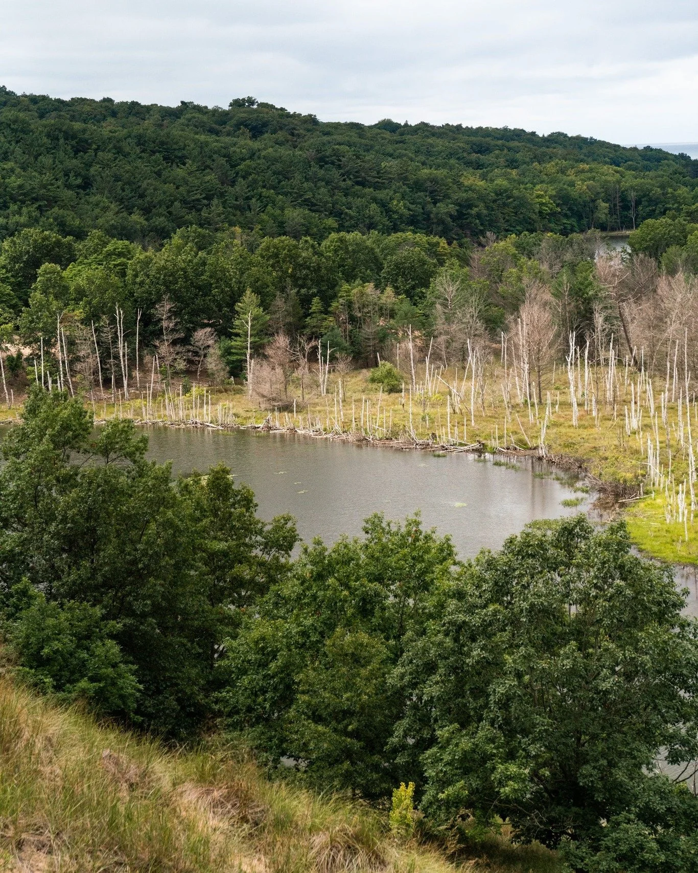 Community voices matter.

The future of the Kalamazoo River Mouth is shaped not only by agencies and developers, but by the people who care enough to participate.

Showing up. Asking questions. Staying informed.

These are acts of stewardship, too.