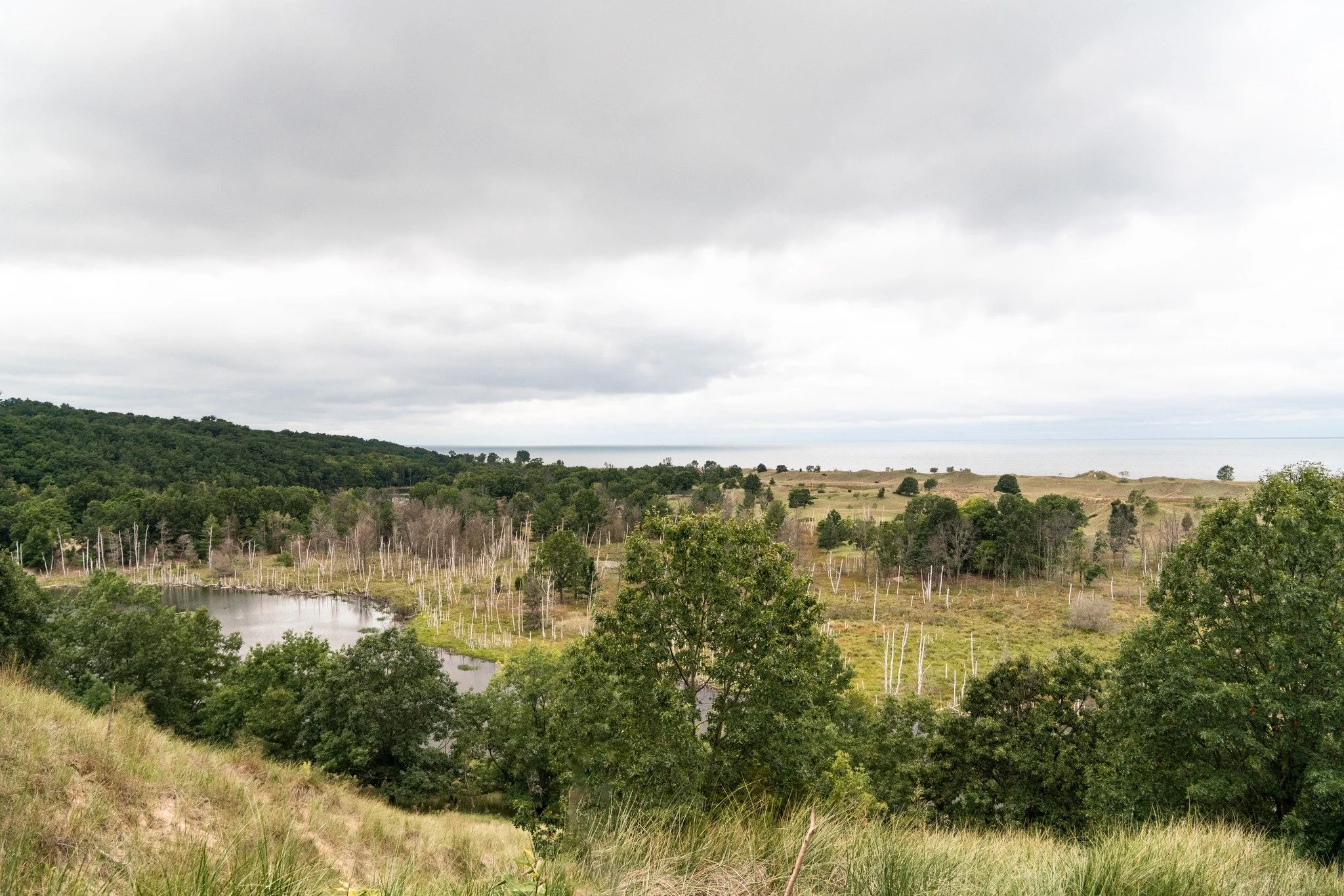 Where does rain go? Most of us don't think much about a rainstorm once it passes. But every rainfall begins a journey. Water flows across roads, parking lots, rooftops, and lawns before eventually reaching streams, rivers, and lakes. Along the way, i