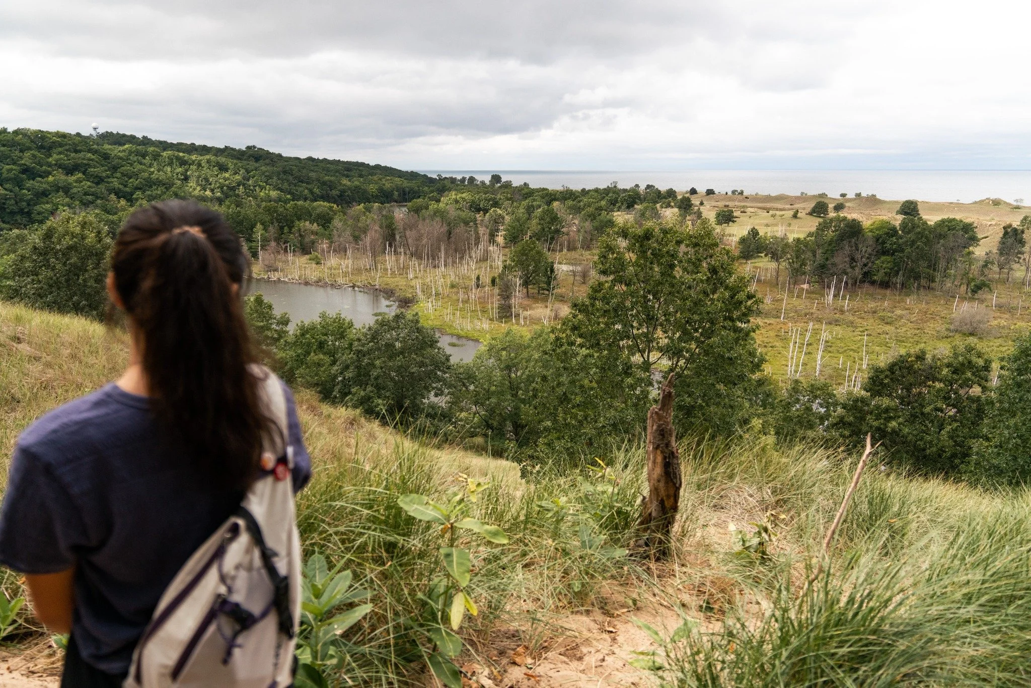 Restoration takes patience. Nature moves at its own pace. A restored wetland doesn't appear overnight. Native plants don't return in a season. Healthy ecosystems are built through years of care and commitment.

Stewardship means investing in a future
