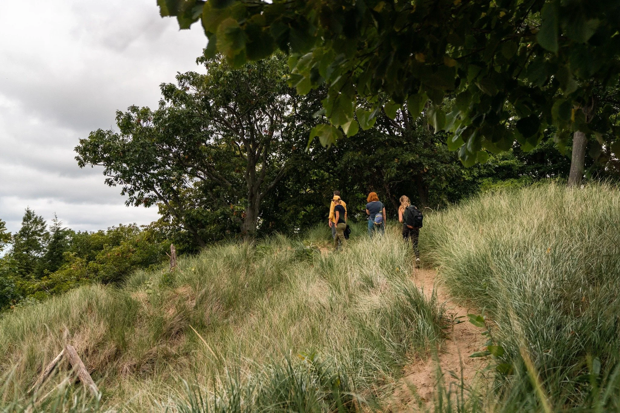 The Wild Heart of Saugatuck is alive.

Beneath the surface of the river, among the wetlands, across the dunes, thousands of living things depend on this interconnected ecosystem.

Stewardship begins with recognizing that we are part of that story, no