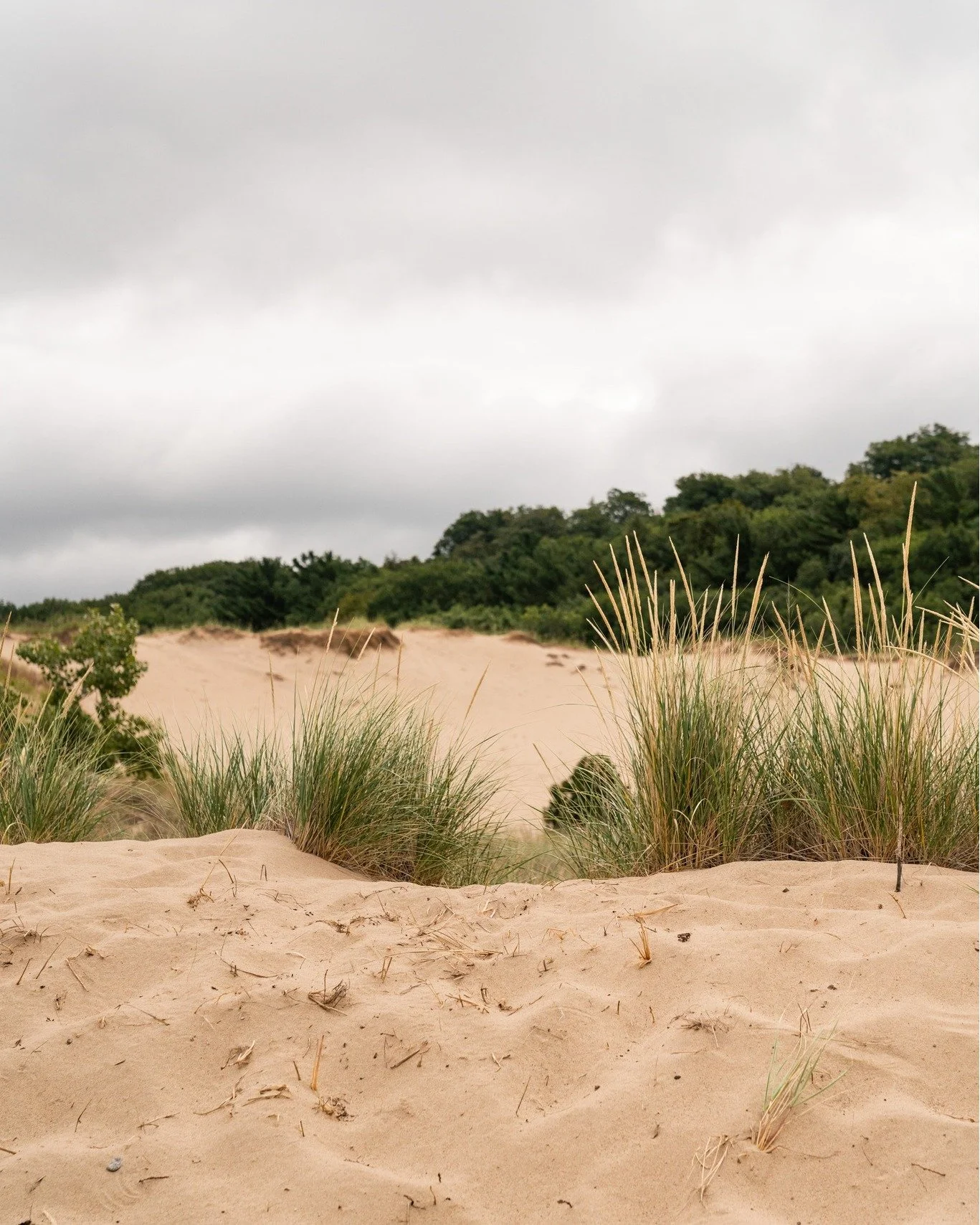 Not all wetlands look wet. Some wetlands are lush and obvious. Others appear dry for much of the year.

But whether visible or hidden, wetlands perform essential work. They filter pollutants, store floodwater, recharge groundwater, and provide habita