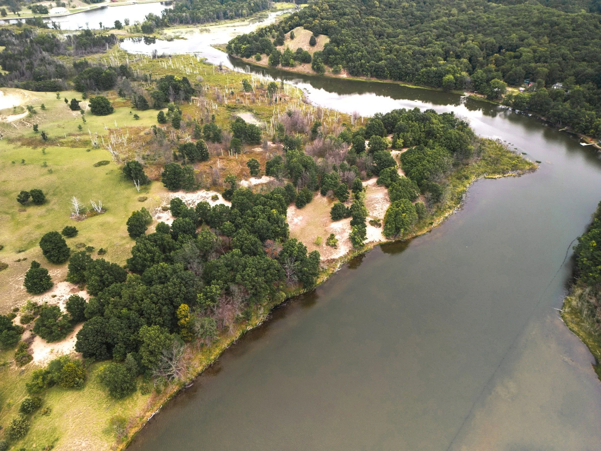 August brings its own rhythm to the Kalamazoo River Mouth. The river is busy. Wildflowers reach toward the sun. Birds move between forest, wetland, and shoreline. Everywhere we look, the landscape reminds us that beauty and ecological health are deep
