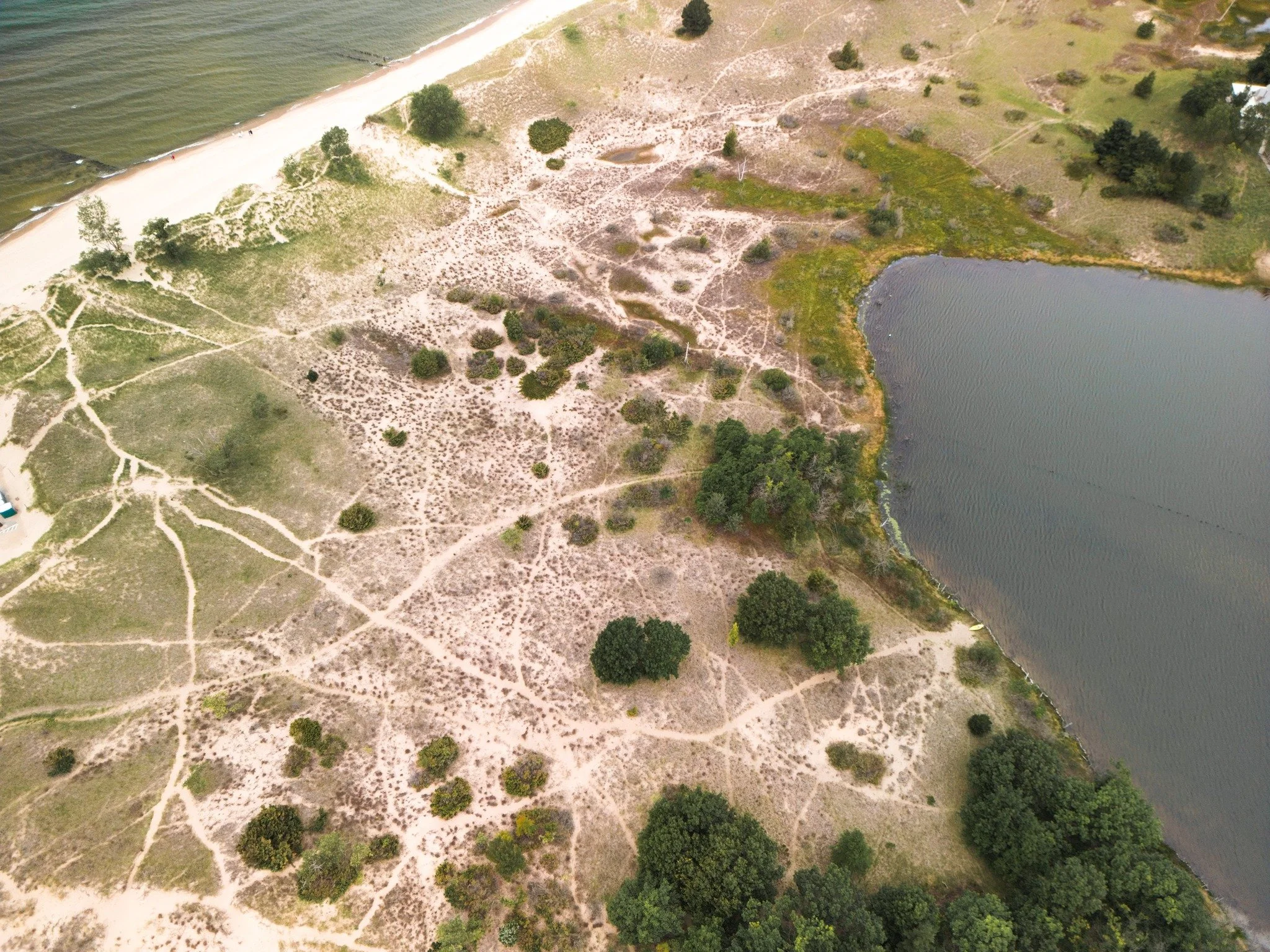 A healthy landscape is filled with relationships we may never see.

Native plants feed insects. Insects feed birds and other wildlife. Each species plays a role in sustaining the larger ecosystem.

Protecting biodiversity begins with protecting the h