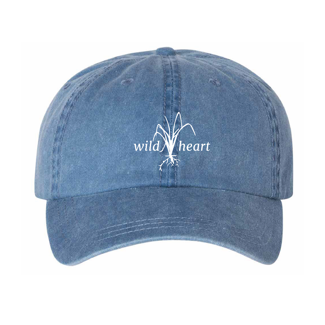 SDCA-hat-01.png