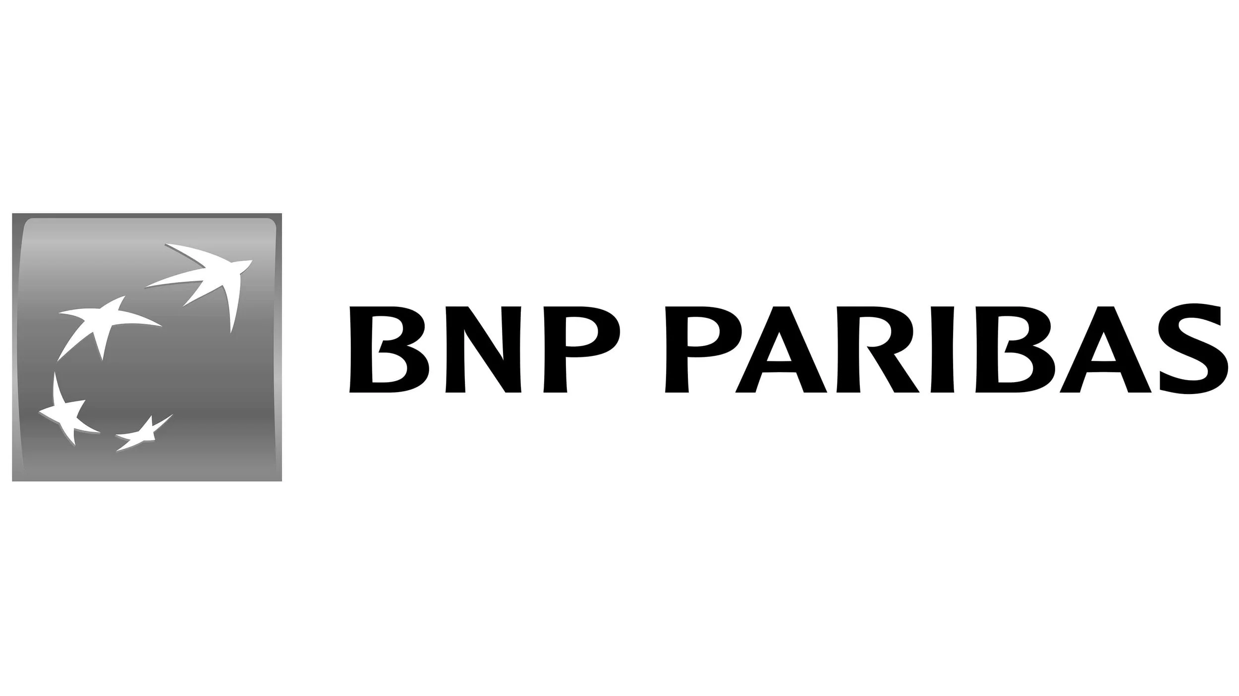 BNP Paribas Logo 2009-present B&W.jpeg