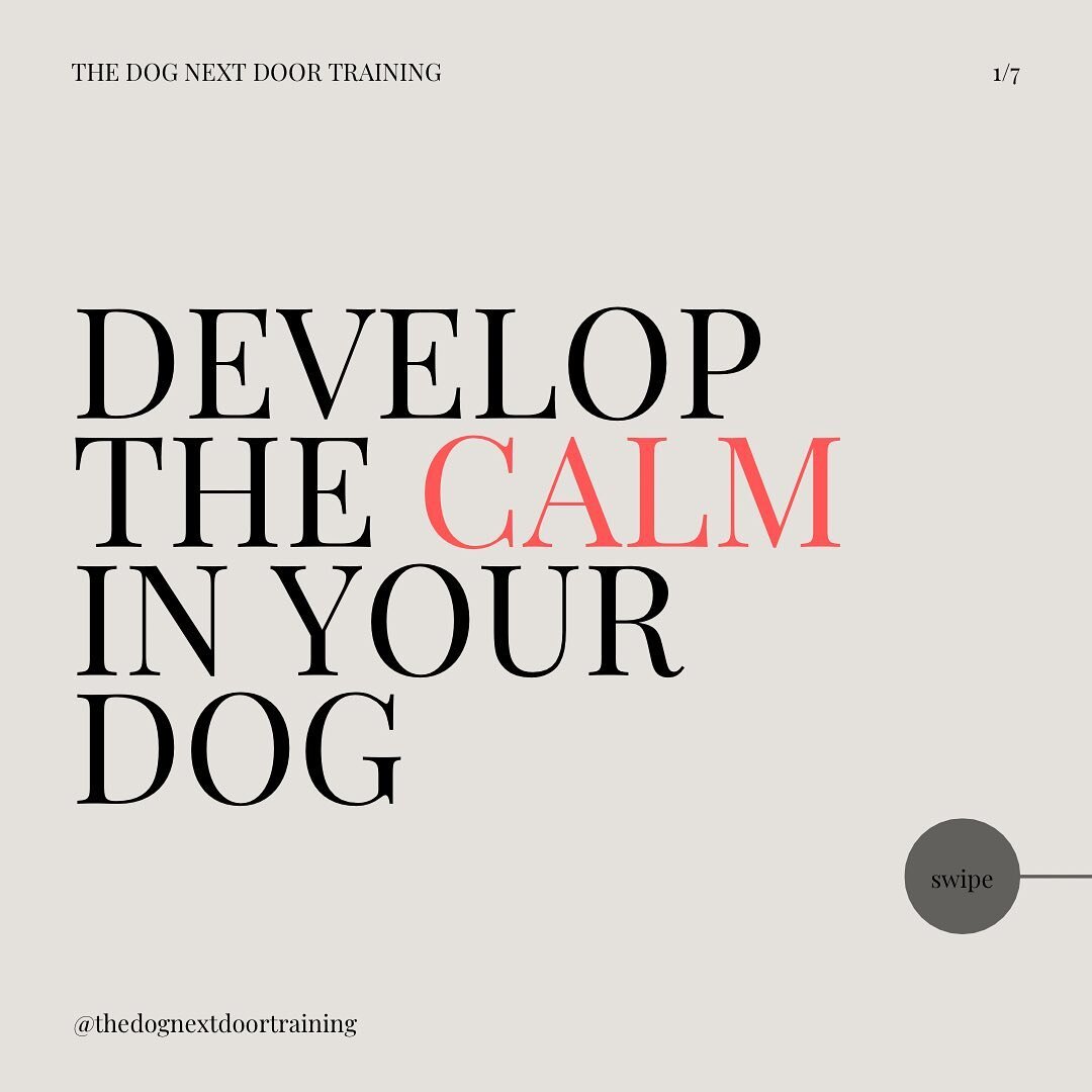 As humans, we know how to condition relaxation - through exercise, yoga, meditation, breath work, hobbies, etc.  Can we help our dogs relax and enjoy a calmer state of mind?  Absolutely!  We can achieve similar results for them when we utilize place 