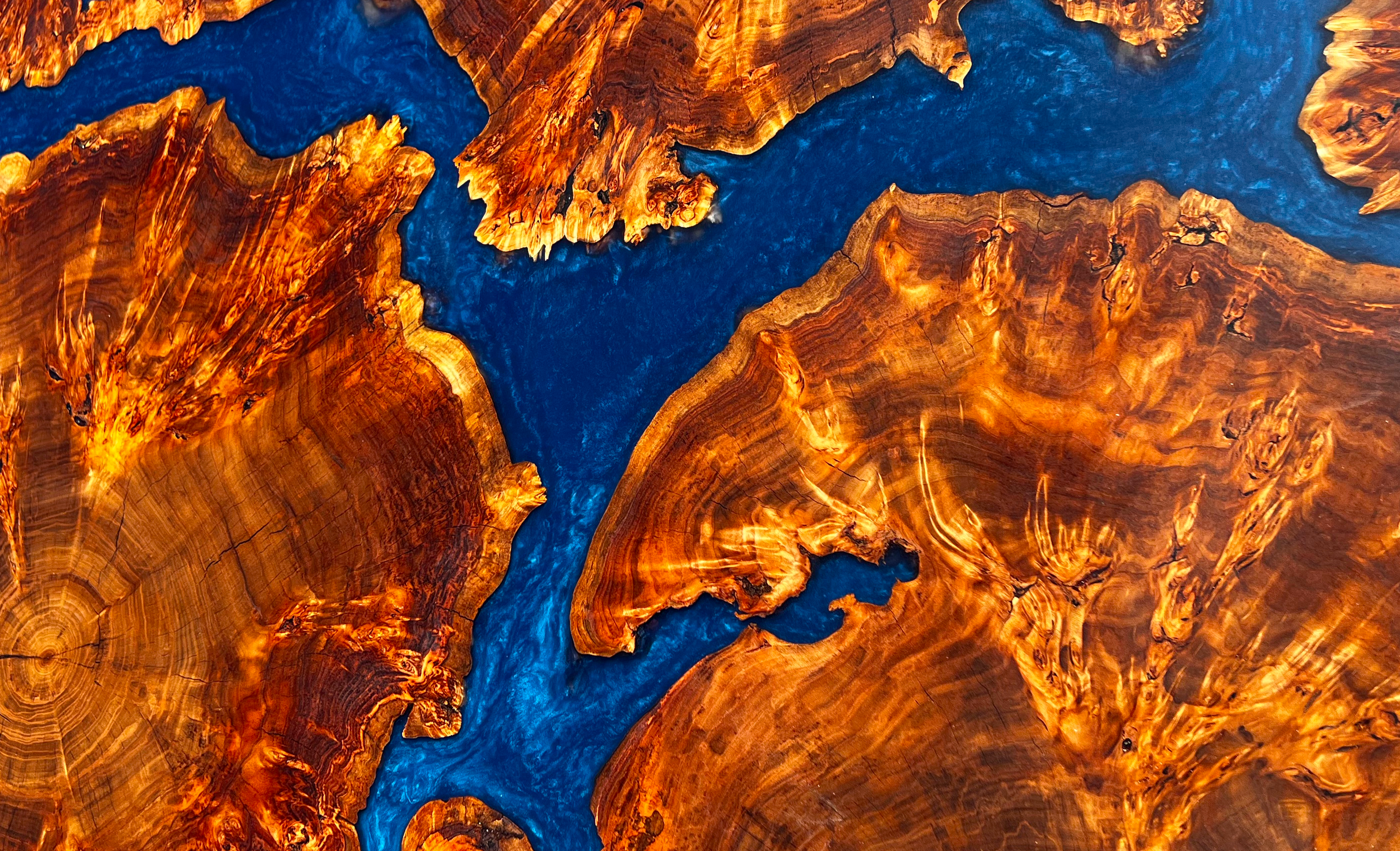 cottonwood with blue