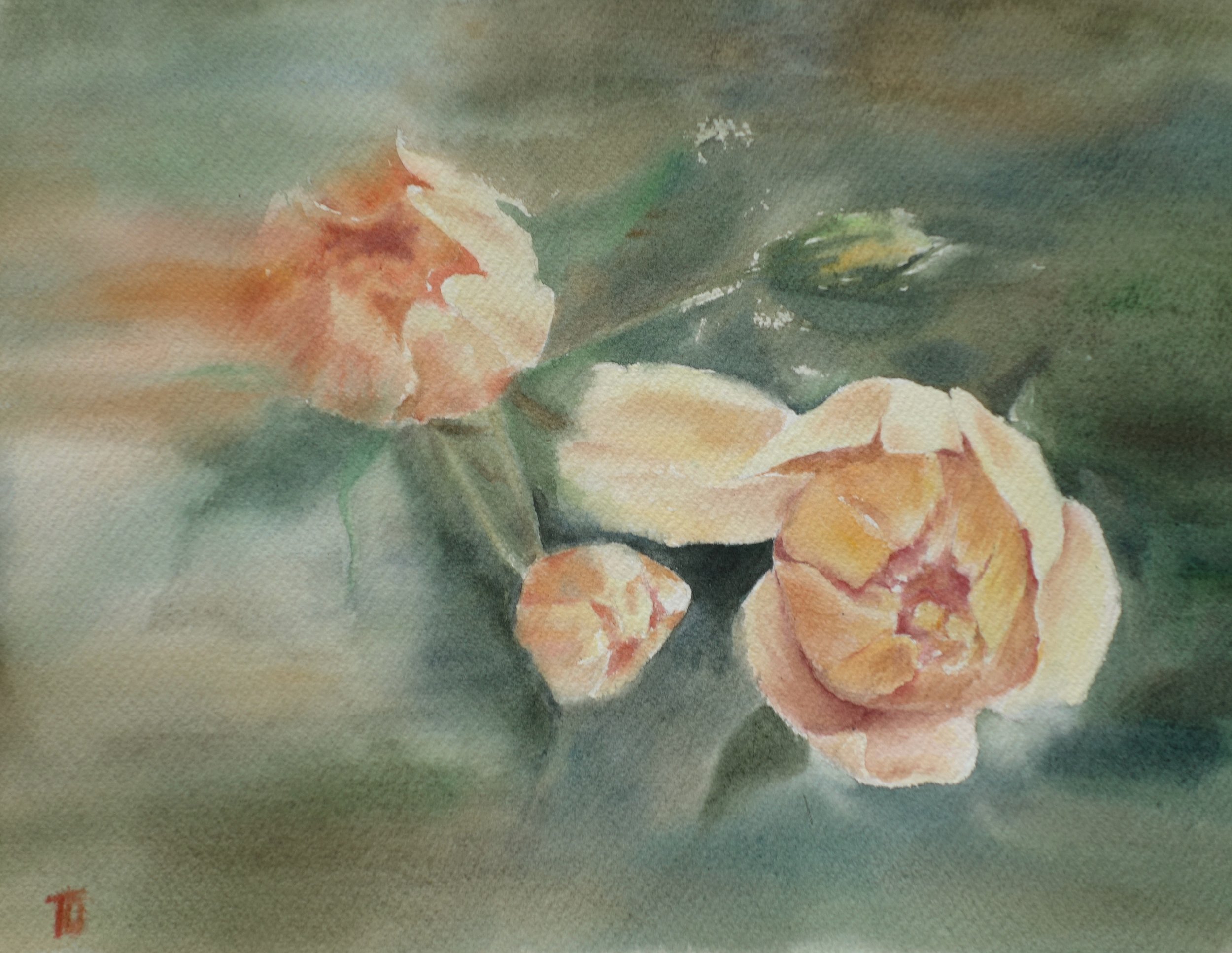 Real Roses