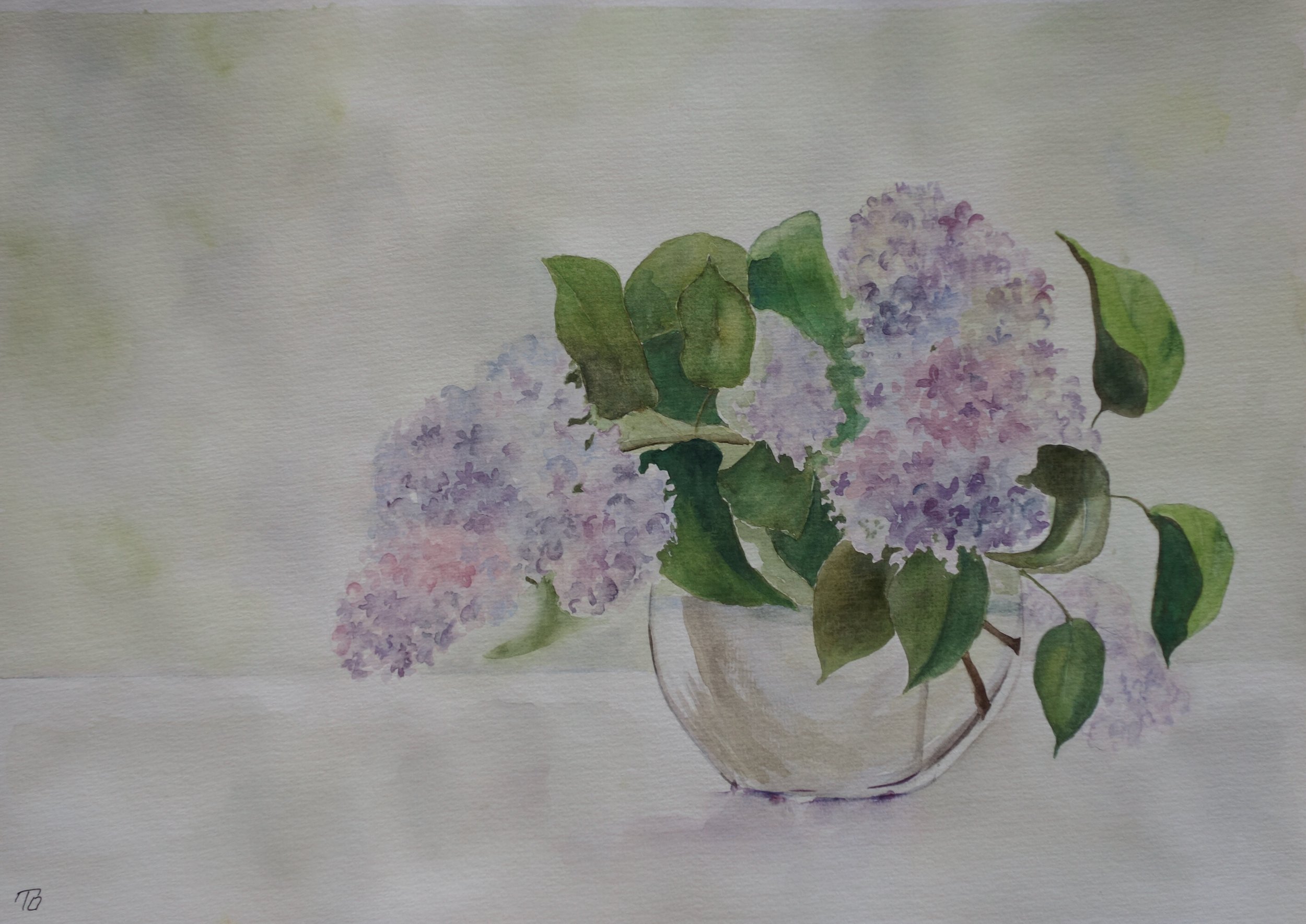 Lovely in Pink - Lilacs
