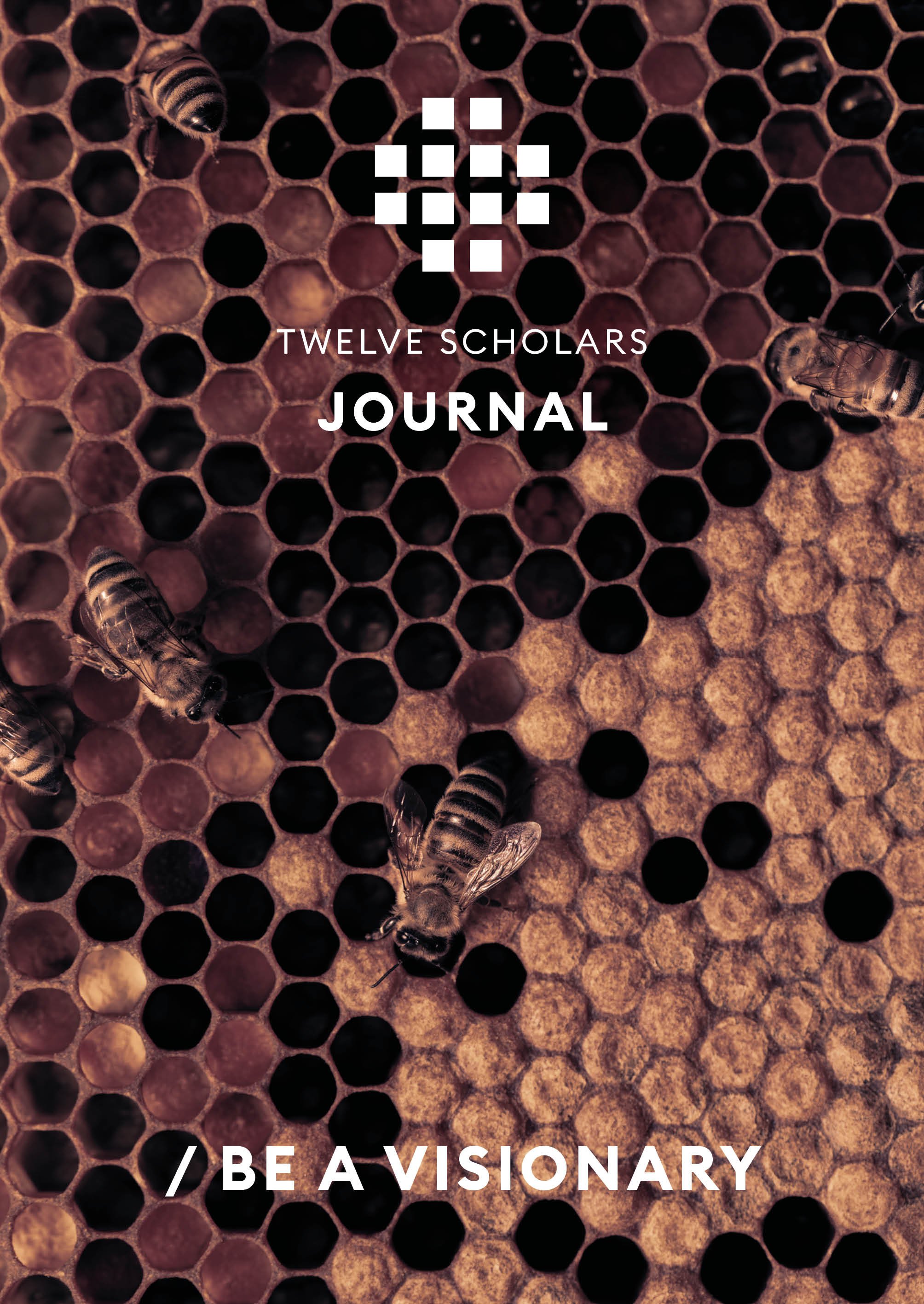 Journal 2 cover.jpg