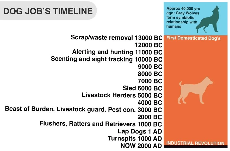 In the Defense of Dog’s