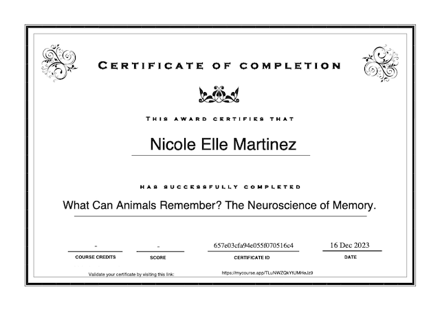 Elle certification in Neuroscience of Memory