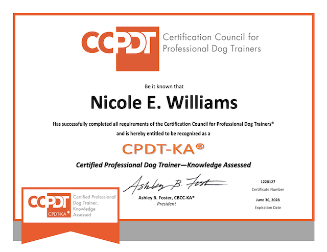 Elle certification from the CCPDT