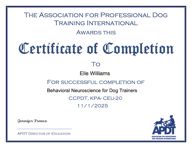 Elle certification in Behavioral Neuroscience