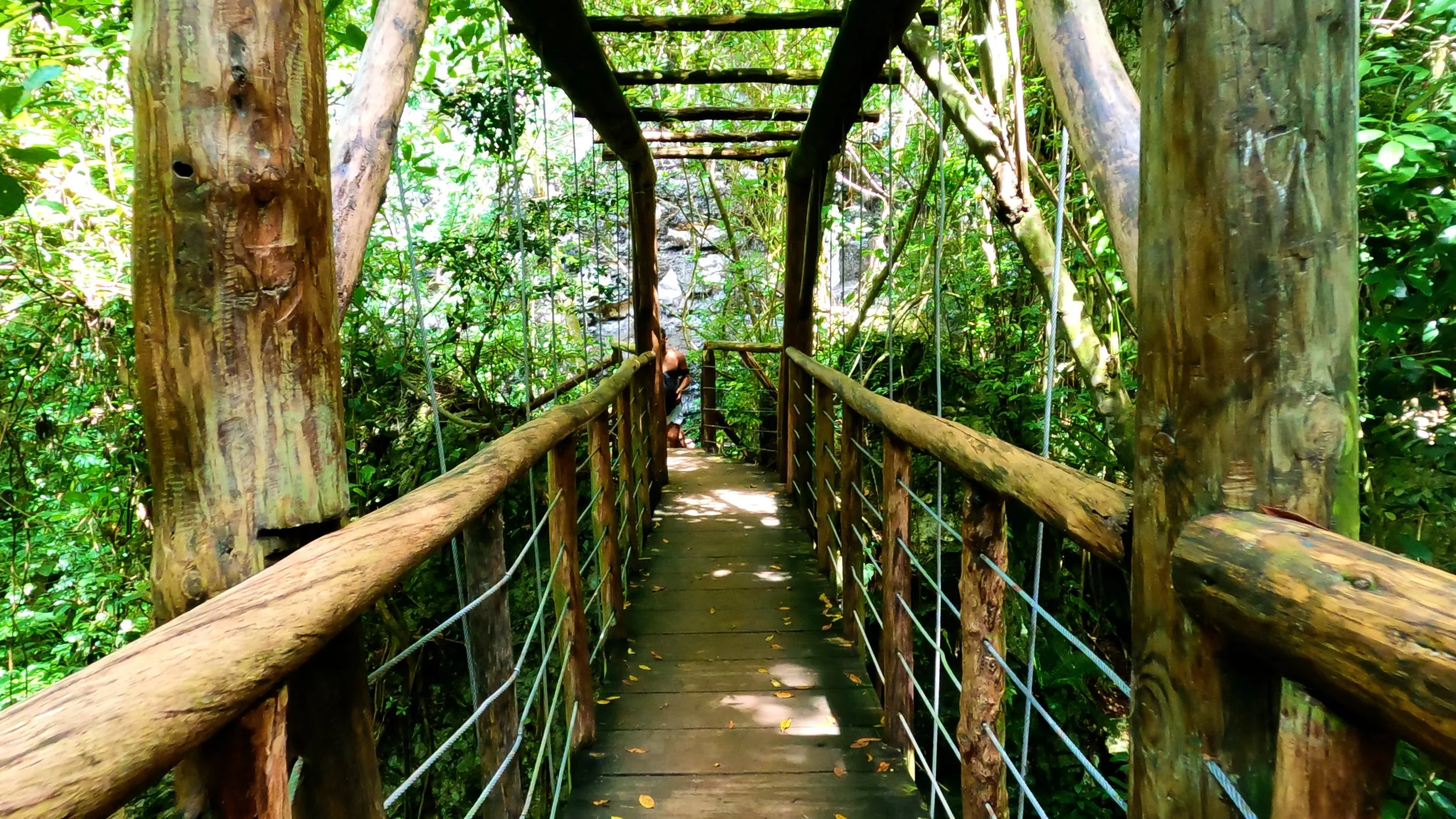Amaze bridge.jpg