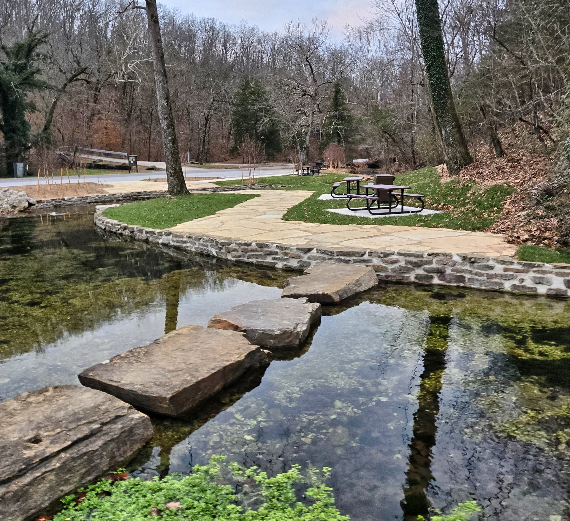 Withrow Springs 02.webp