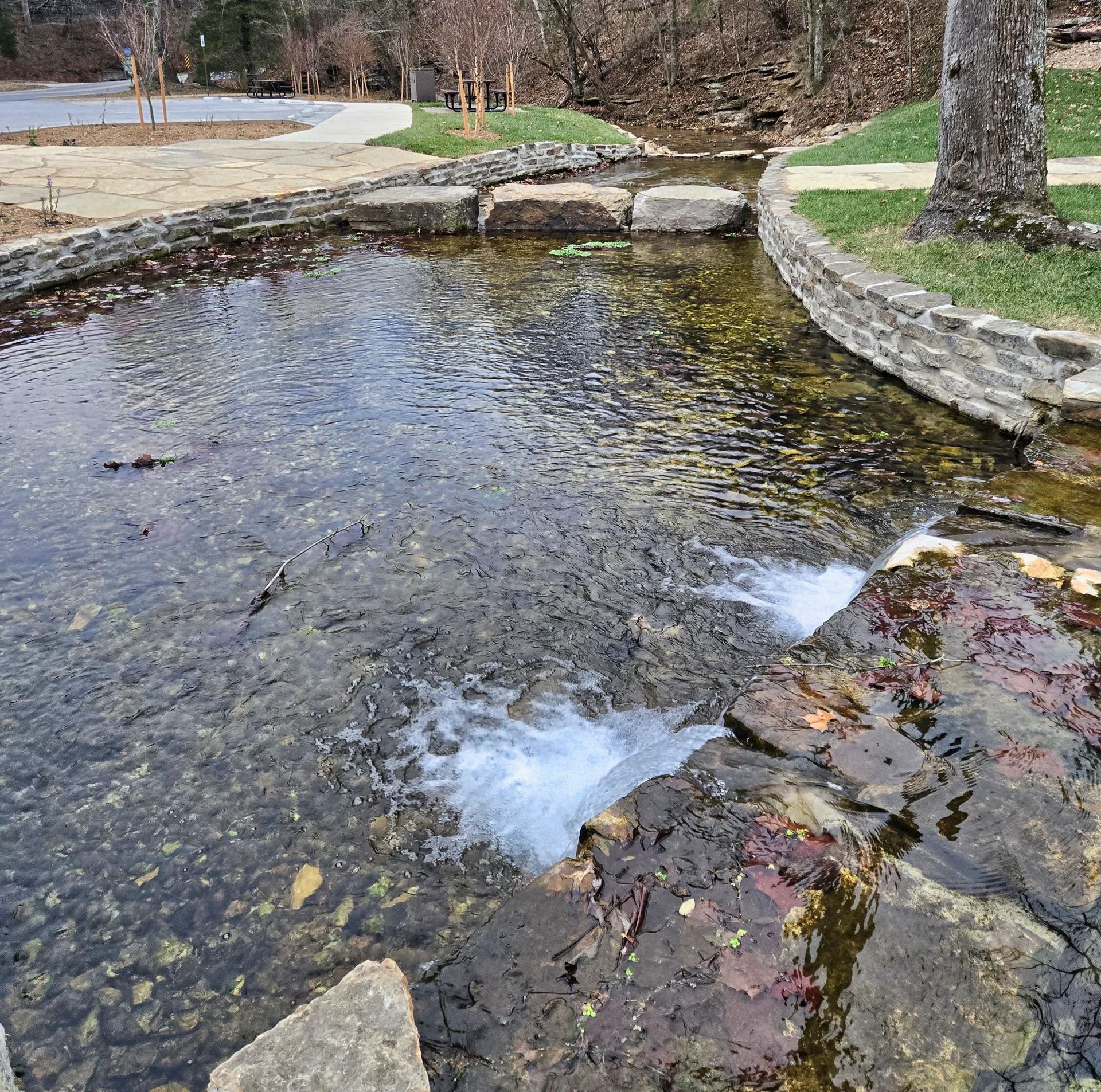 Withrow Springs 03.webp