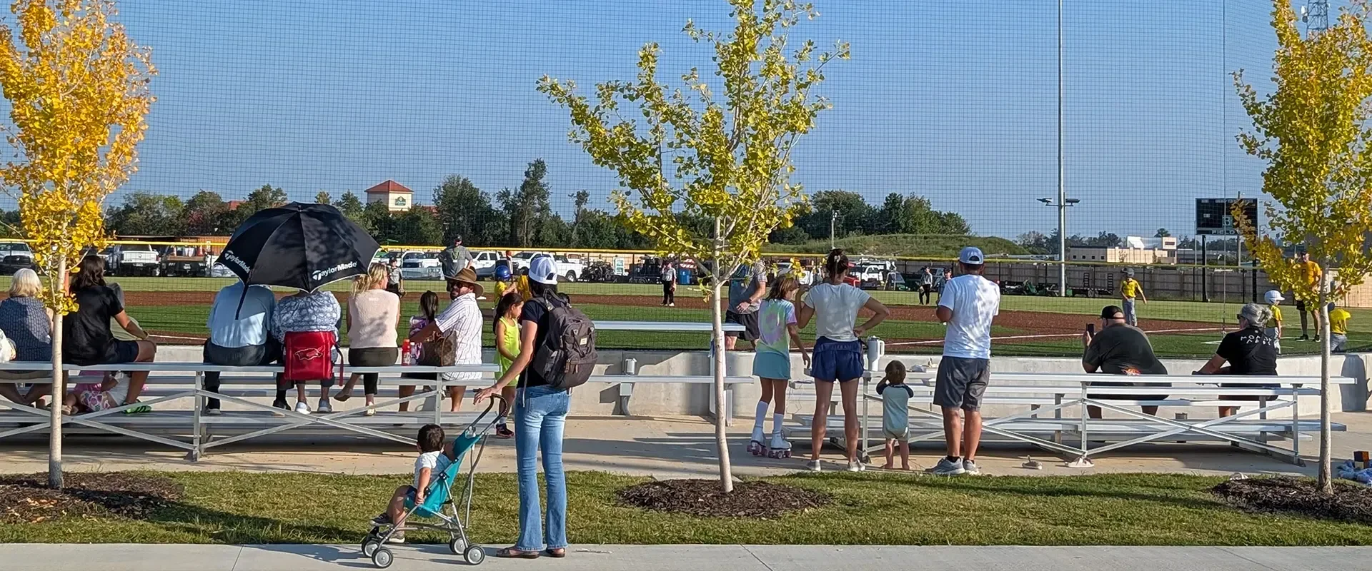 Phillips Park Master Plan Phasing + Design