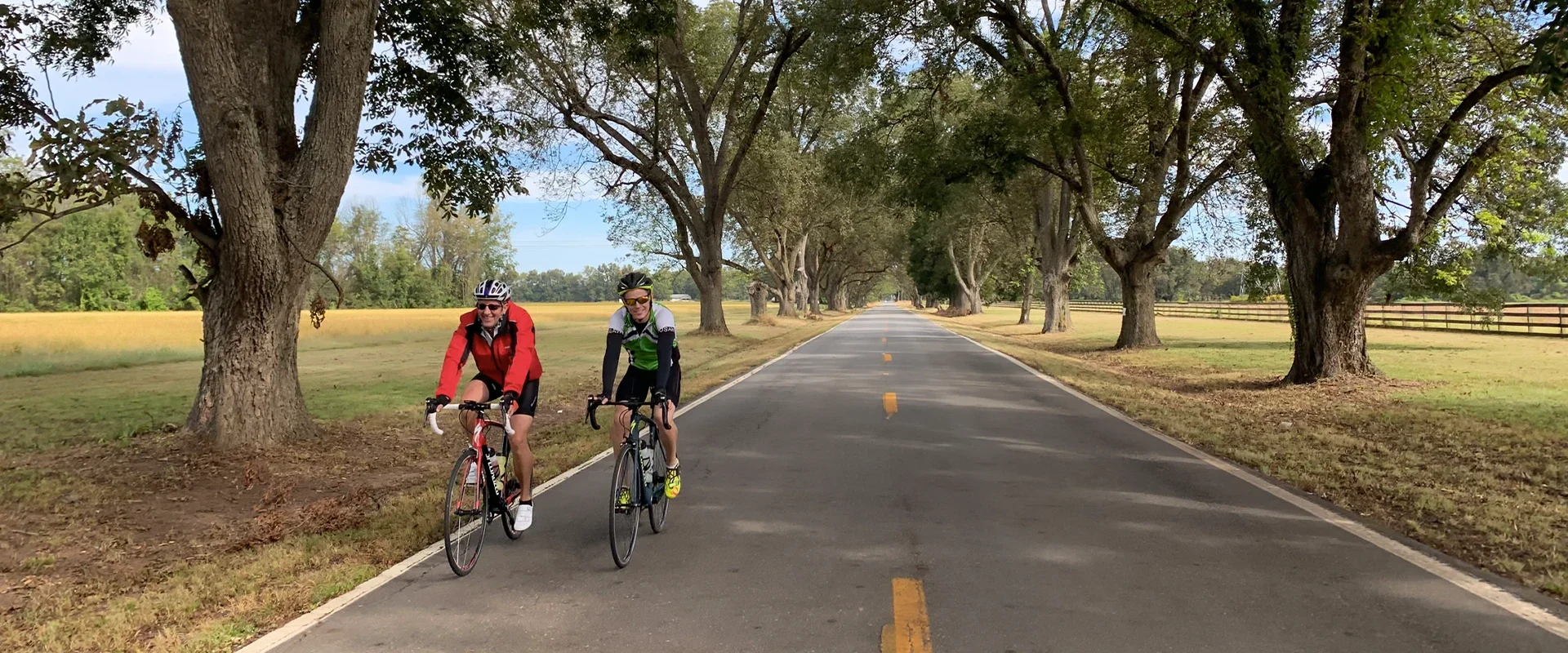 Two cyclists riding road bikes along a tree-lined rural road beside fields and wooden fences.