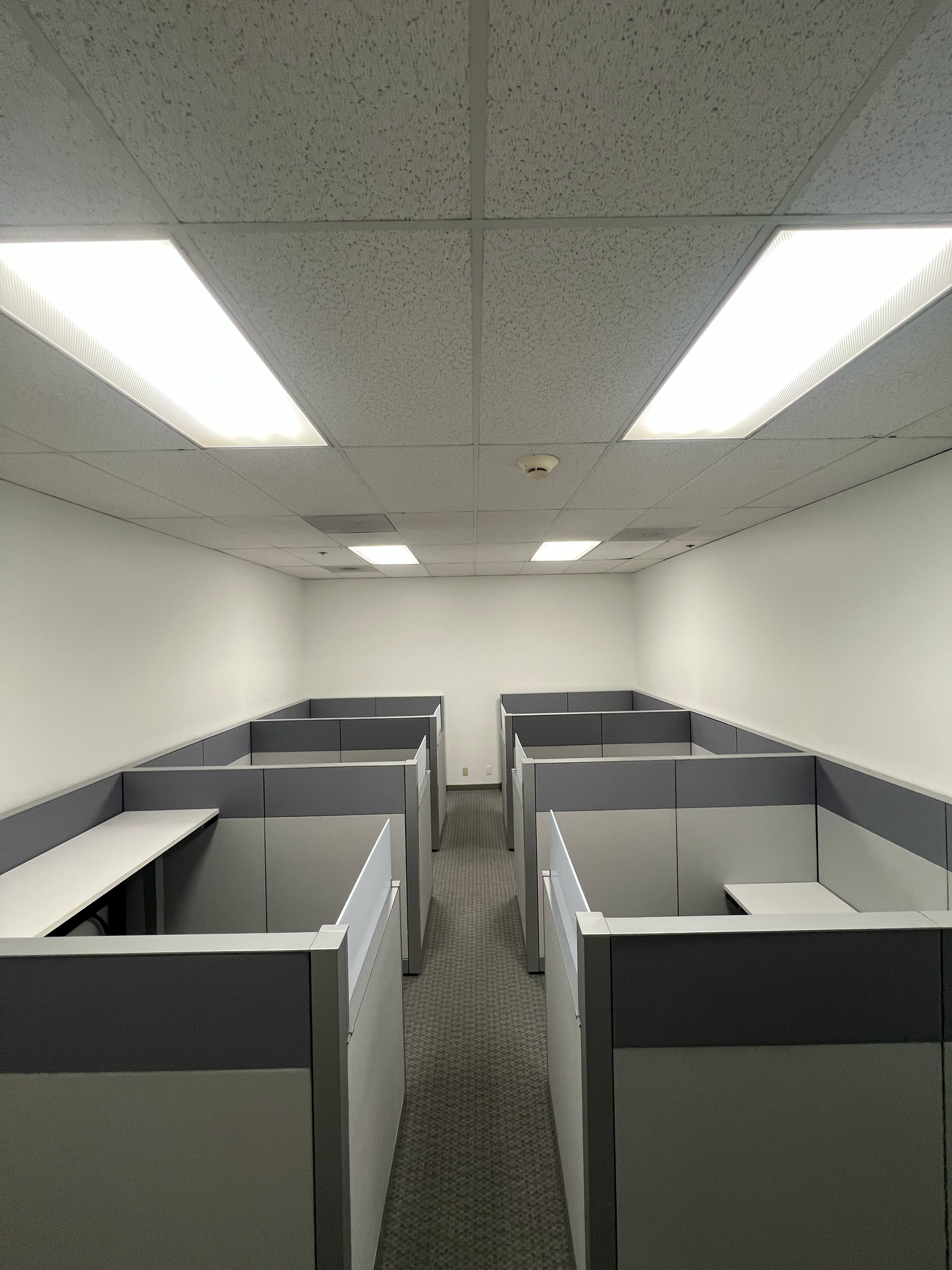 An empty office space with gray cubicles, white walls, a dropped ceiling with fluorescent lights, and a patterned carpeted floor.