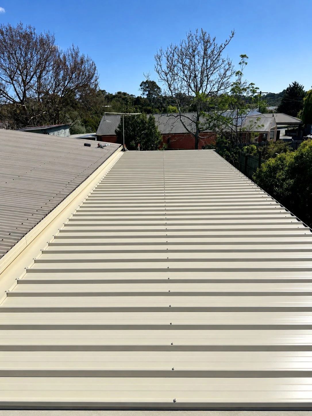 Langwarrin pergola: new sheeting right through