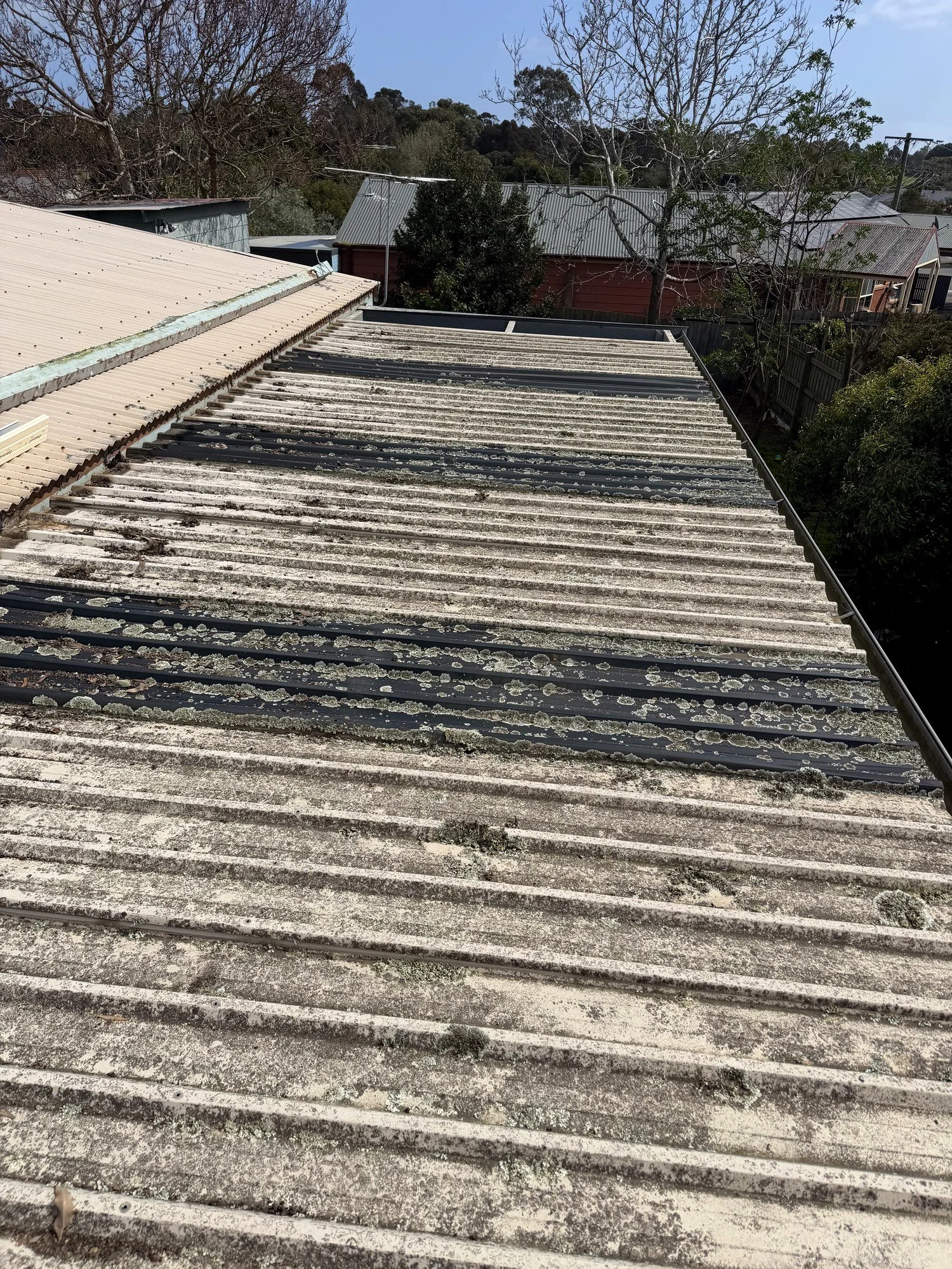 Langwarrin pergola: before, with the old sheeting covered in lichen