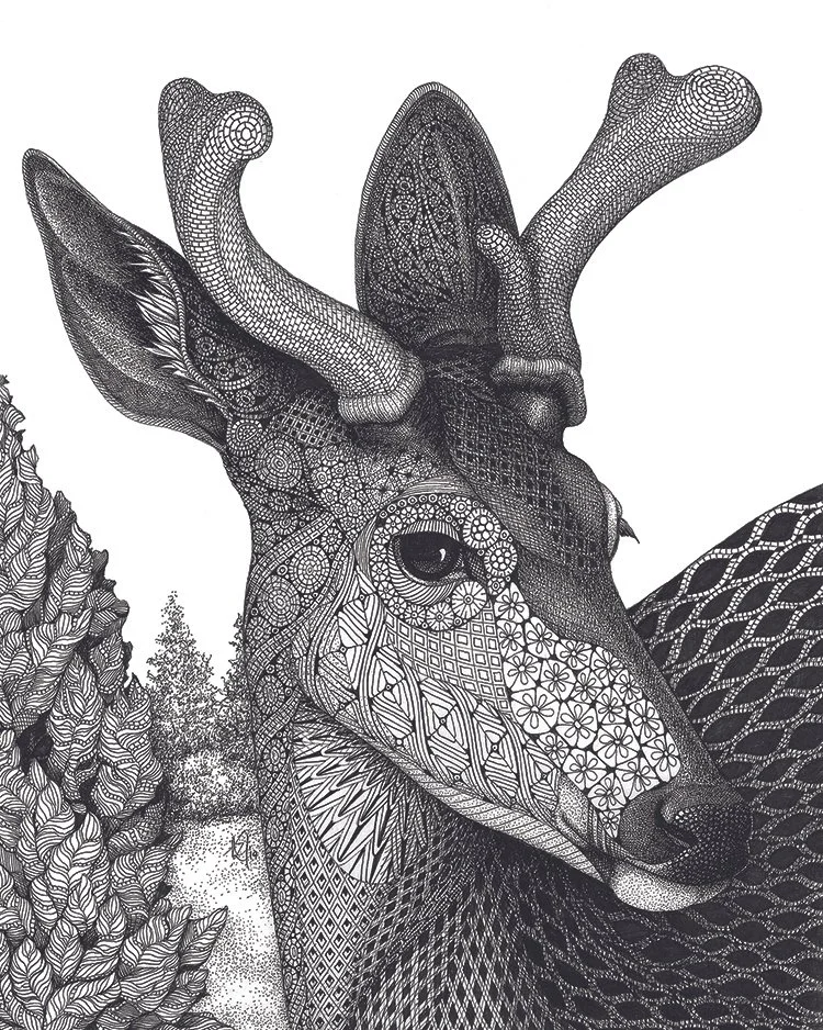 Artistic Recognition: Kristin Moger
"Deer Portrait," ink