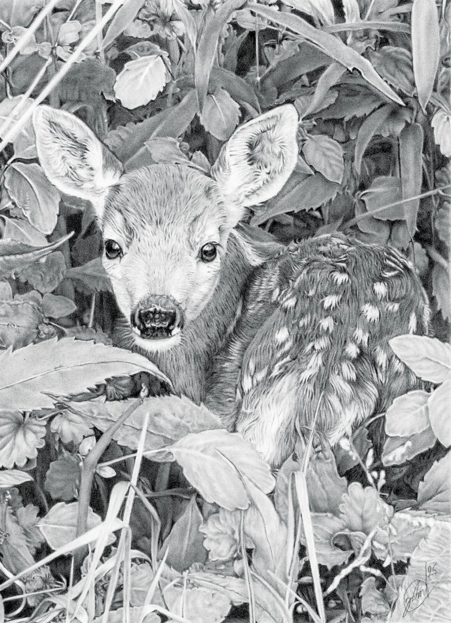 John Hanley
Emergence II, graphite penci