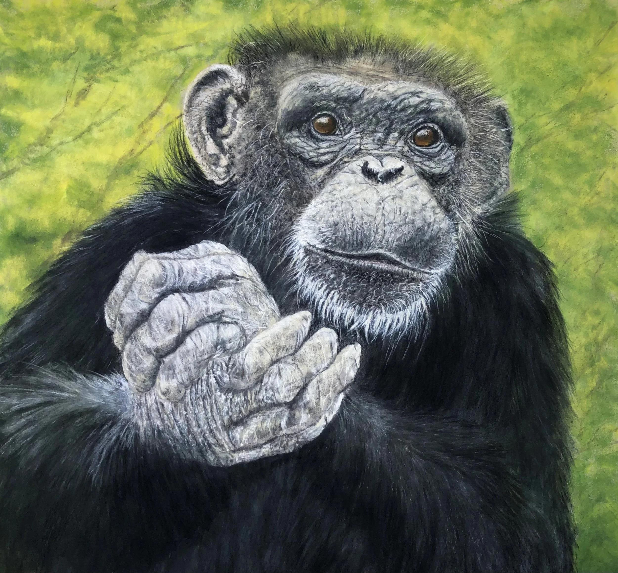 Lori Owen, "Contemplation," pastel