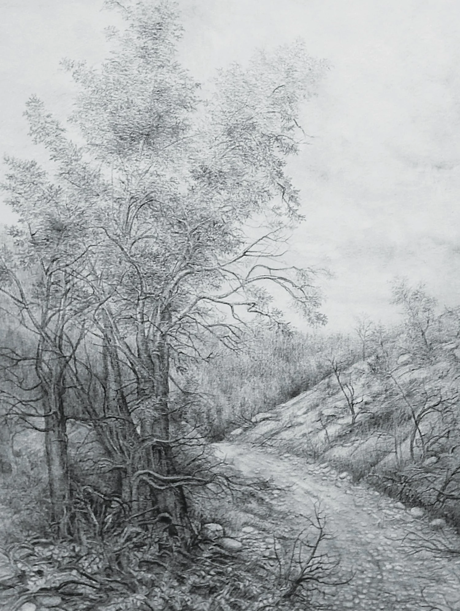 Dimitrina Kutriansky 
Turning Point, graphite