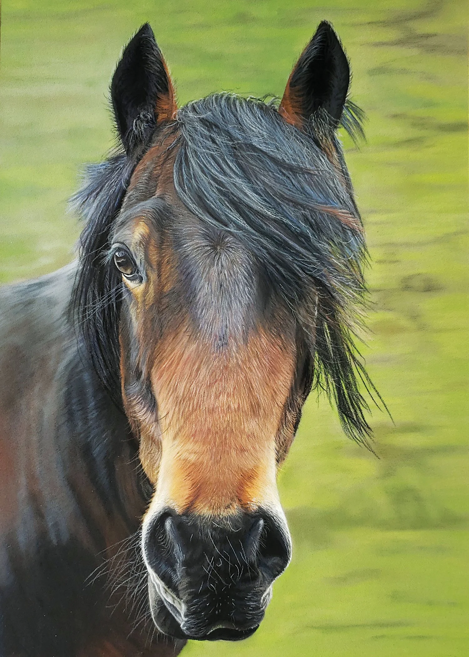 Sarah Perry 
Romeo, pastel