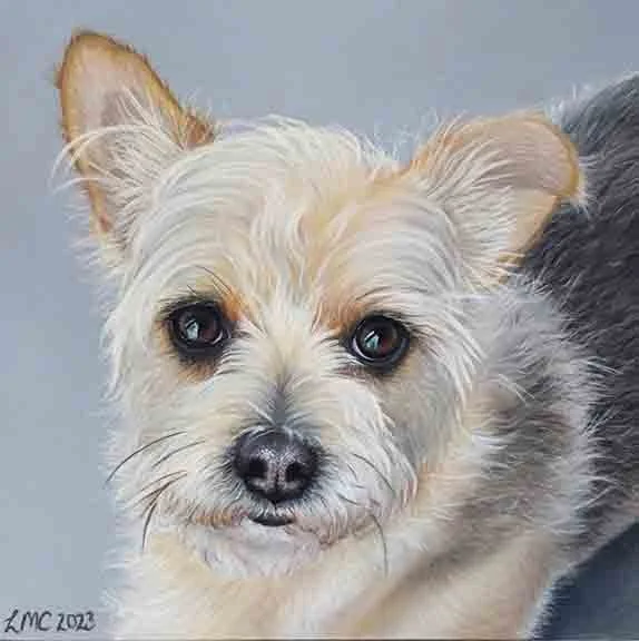 Lauren Catling, "Scout," pastel