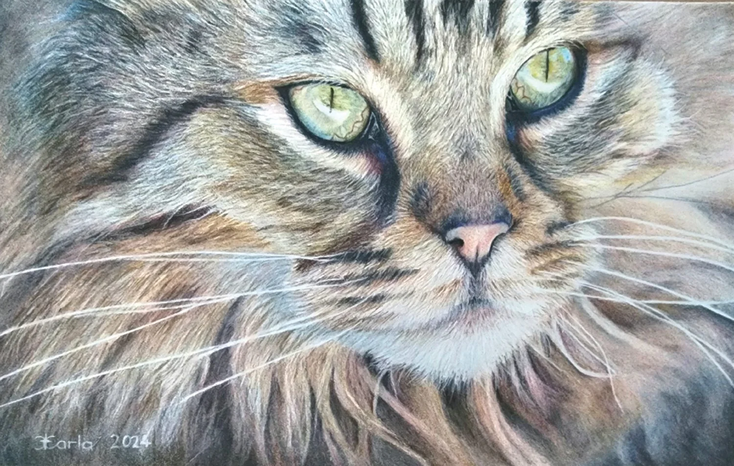 Carla Sclanders
Windows to the Soul, colored pencil